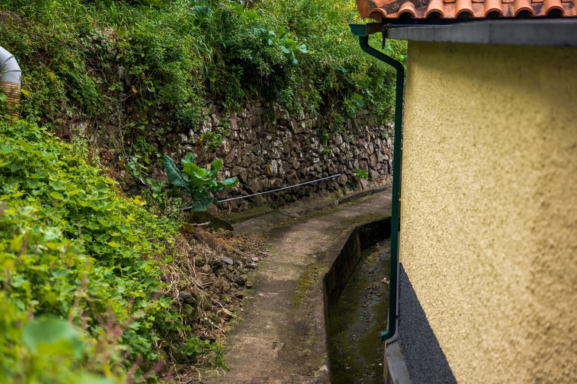 Aerial photograph — Madeira — Earthly