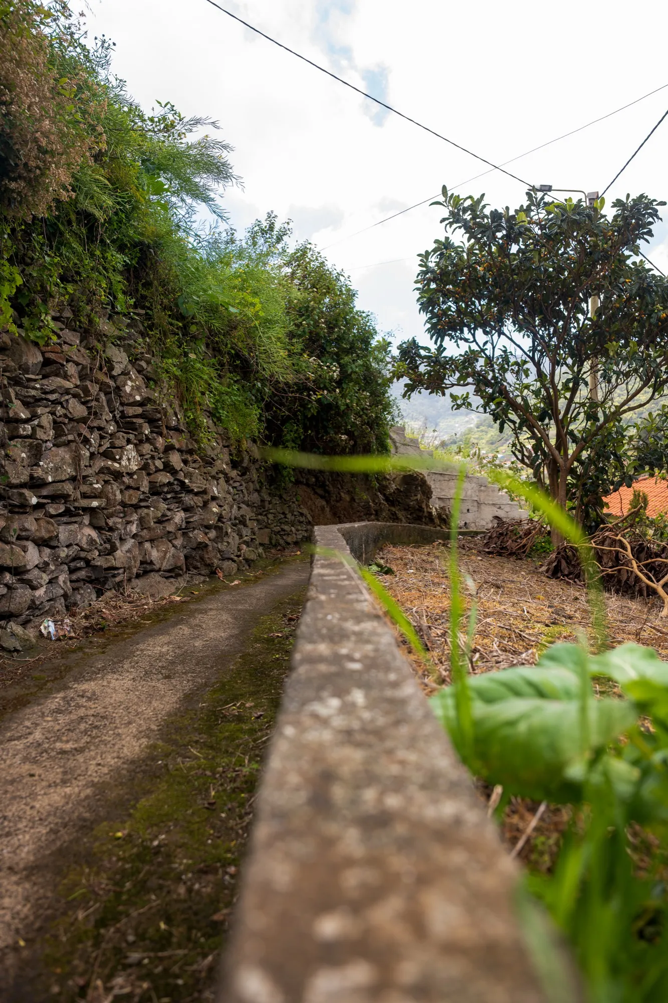Aerial photograph — Madeira — Earthly
