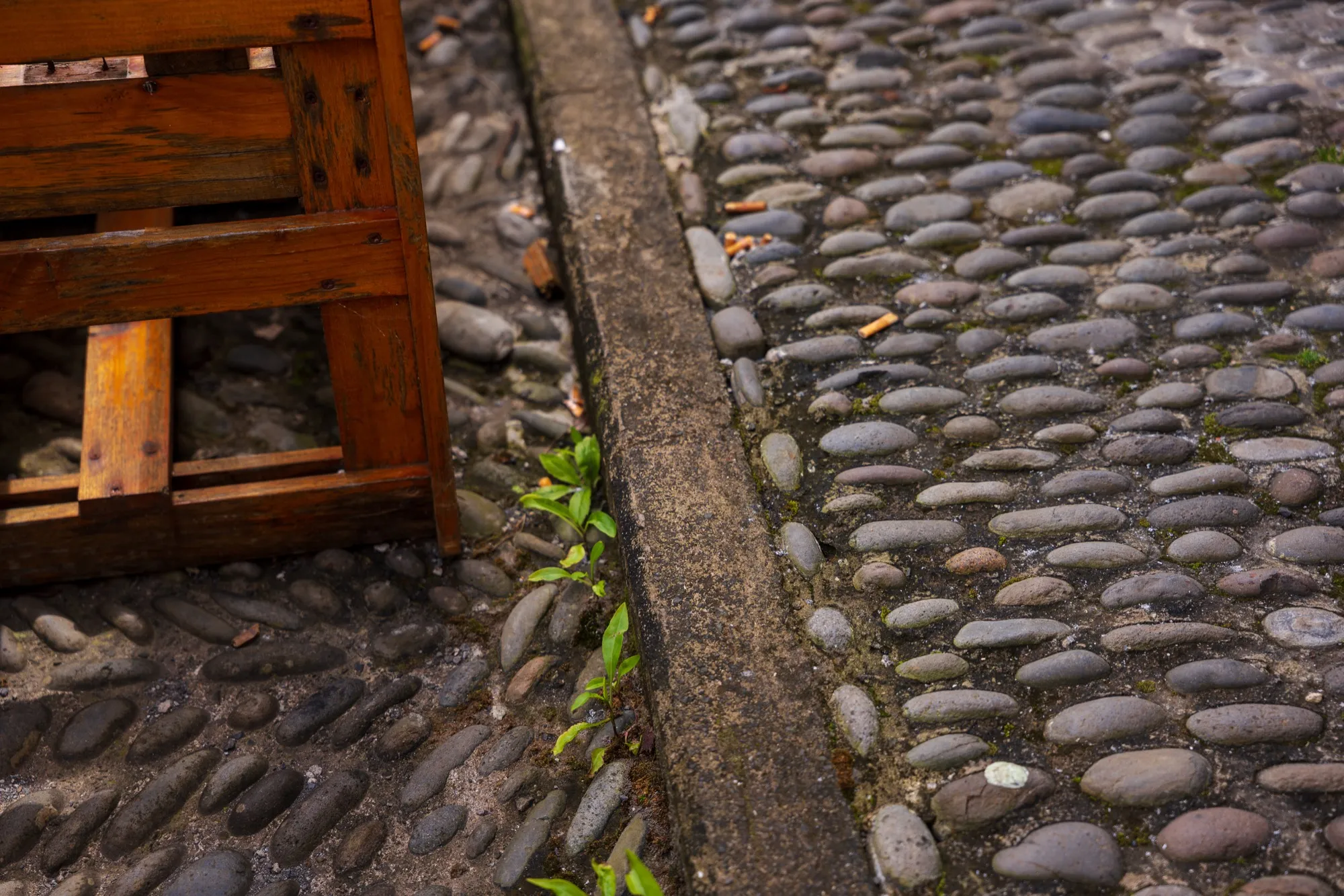 Aerial photograph — Madeira — Earthly