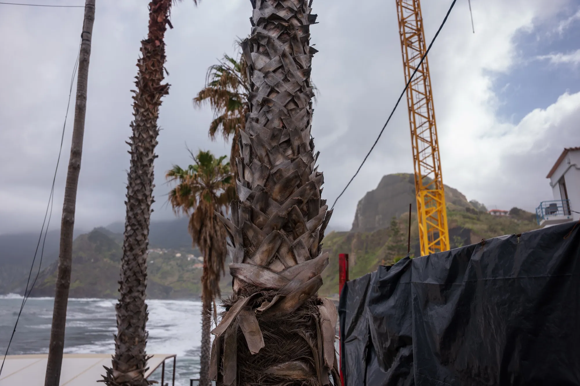 Aerial photograph — Madeira — Earthly