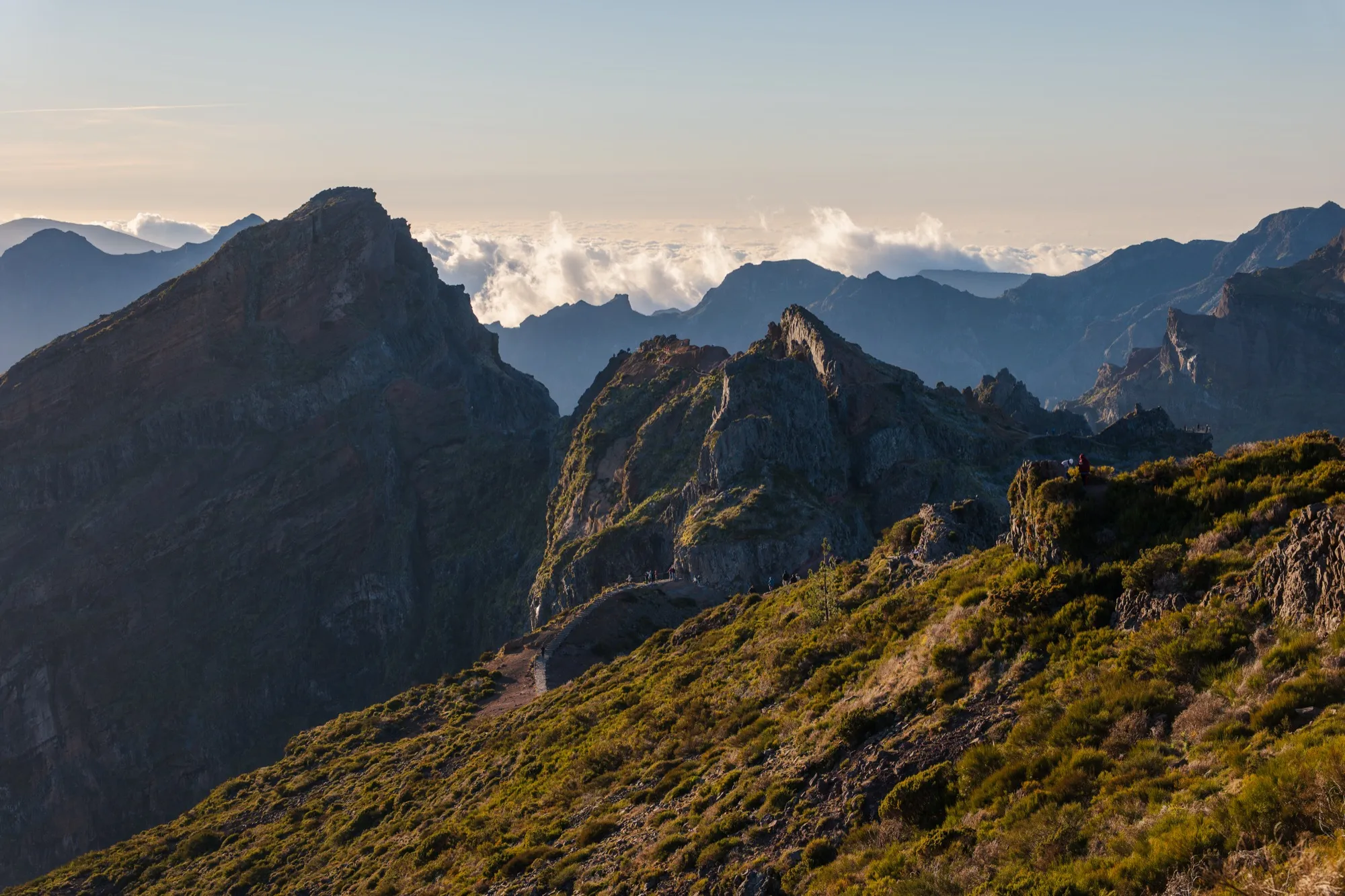 Aerial photograph — Madeira — Earthly