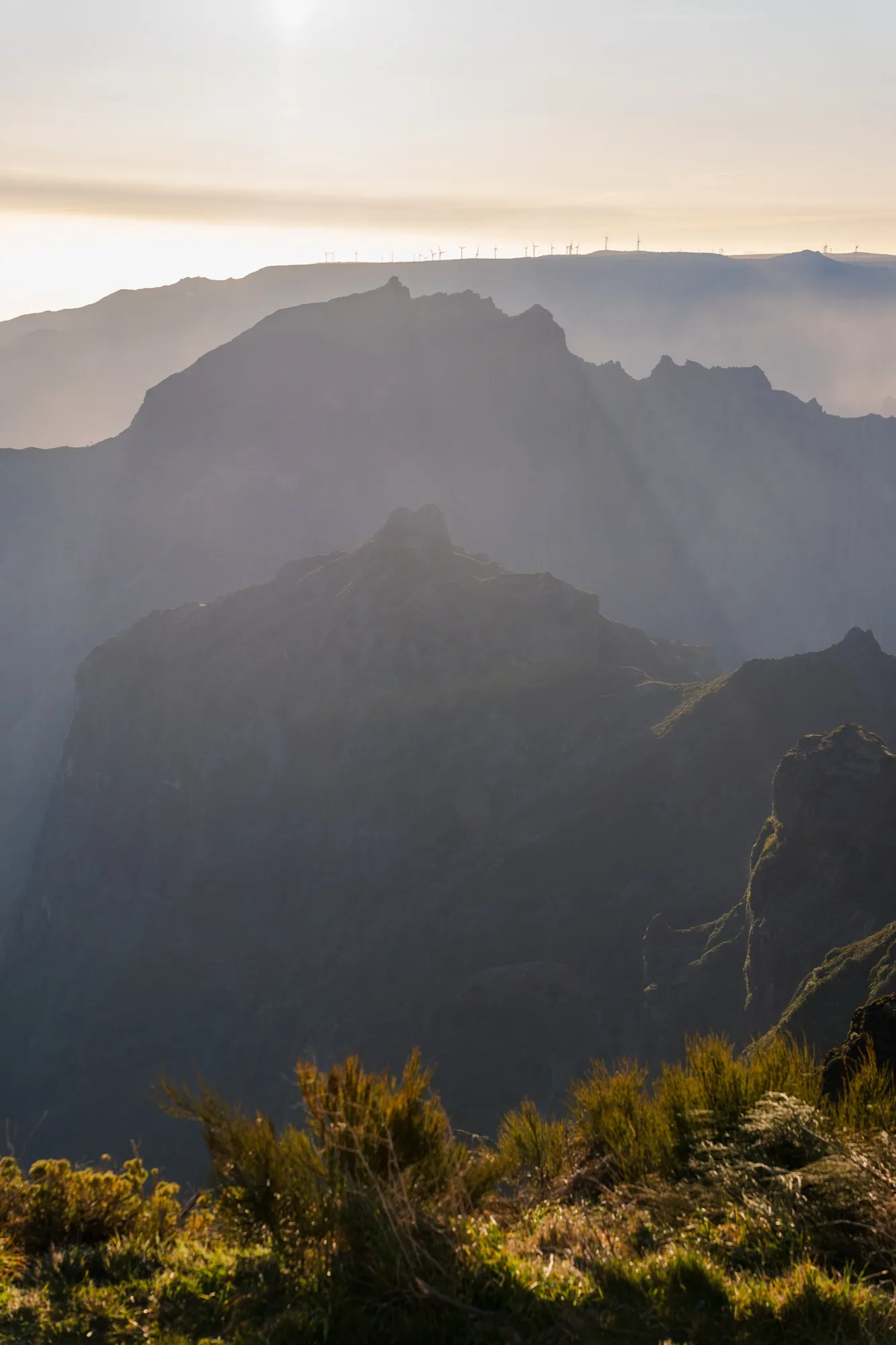 Aerial photograph — Madeira — Earthly