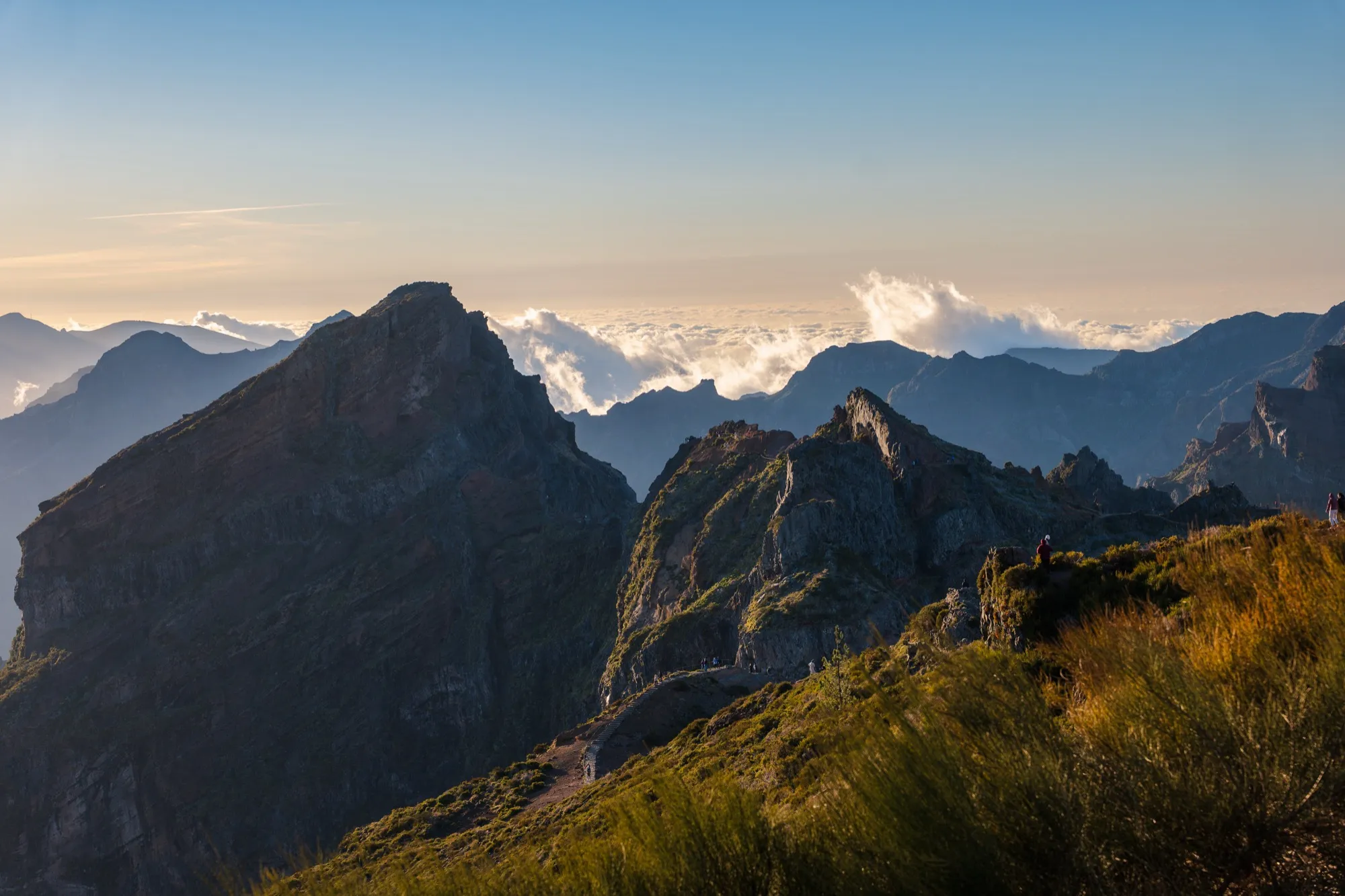 Aerial photograph — Madeira — Earthly
