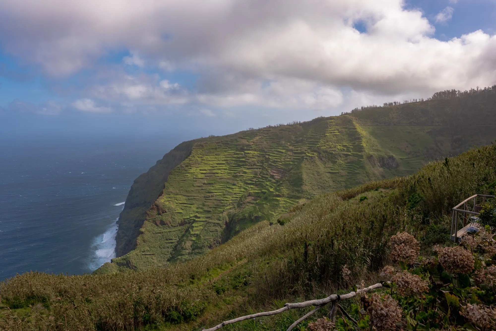 Aerial photograph — Madeira — Earthly