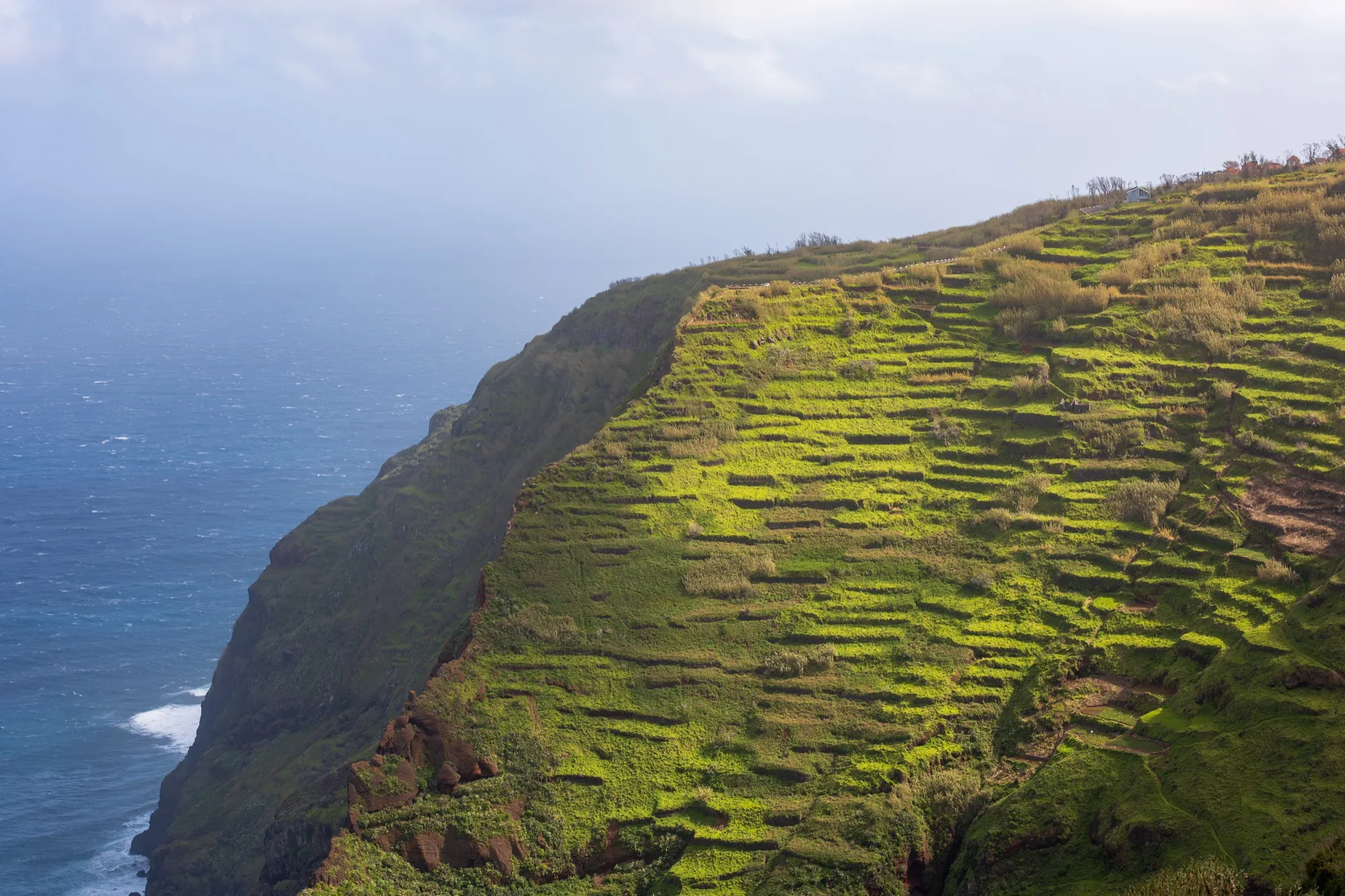 Aerial photograph — Madeira — Earthly