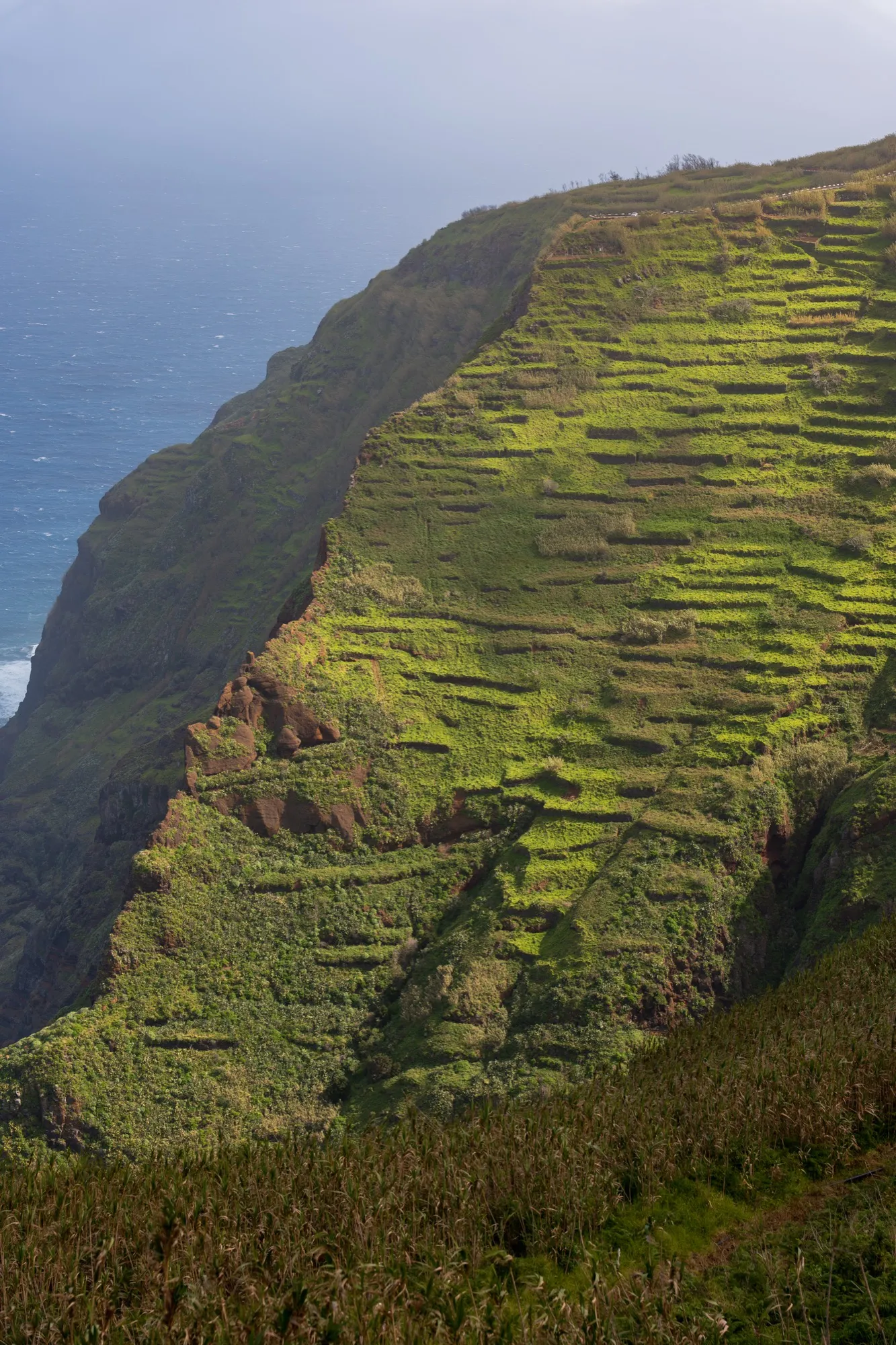 Aerial photograph — Madeira — Earthly
