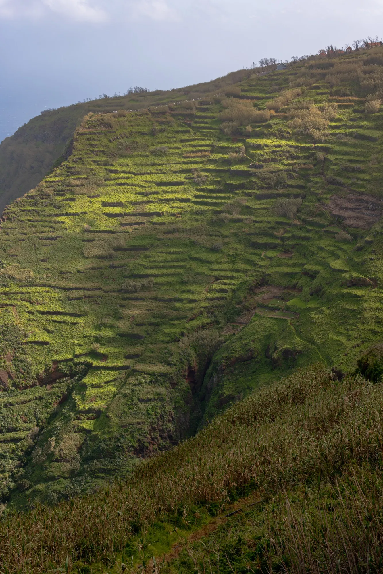Aerial photograph — Madeira — Earthly