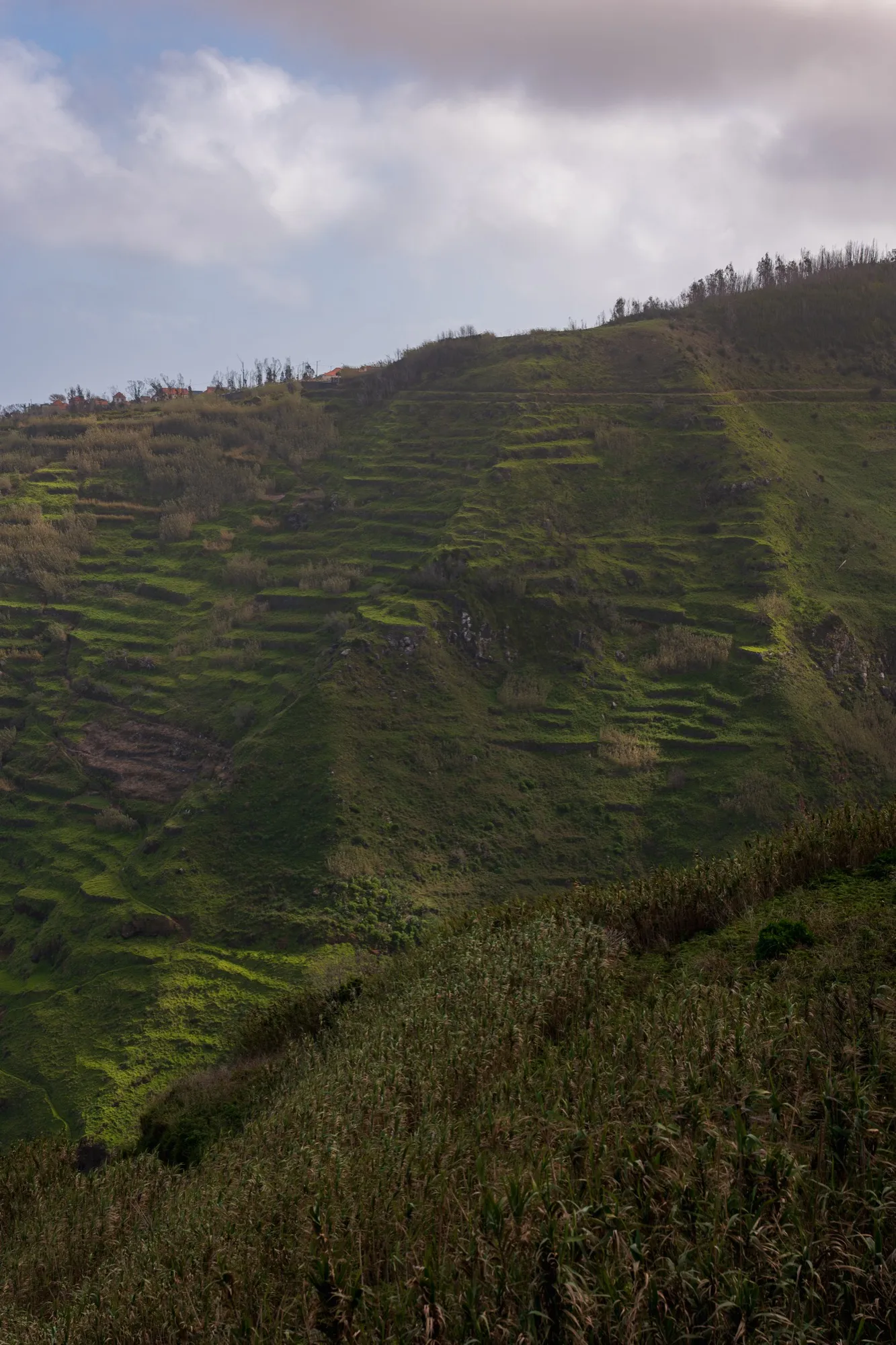 Aerial photograph — Madeira — Earthly