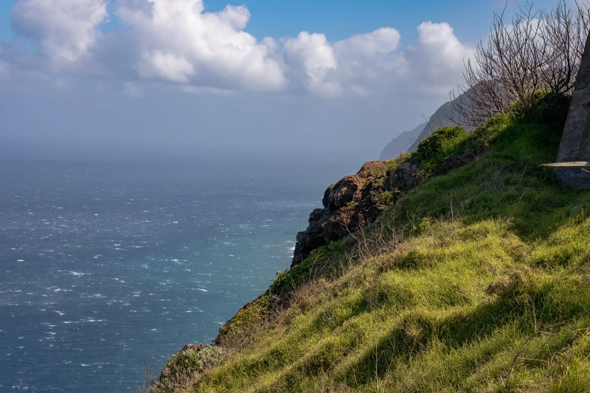 Aerial photograph — Madeira — Earthly