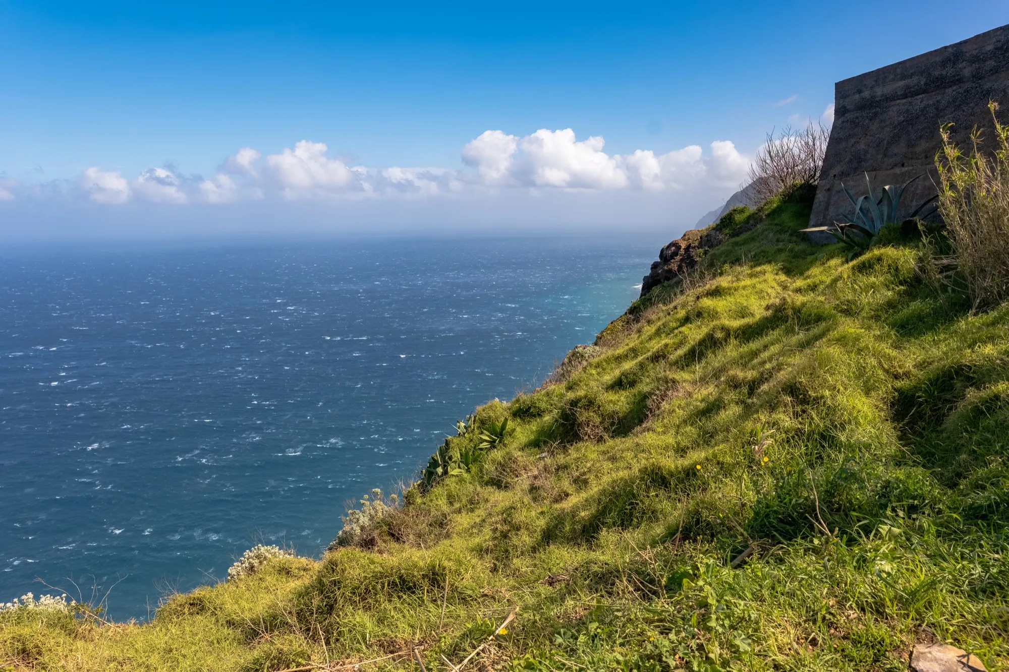 Aerial photograph — Madeira — Earthly