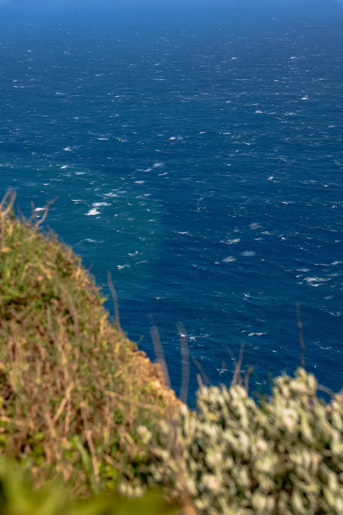 Aerial photograph — Madeira — Earthly