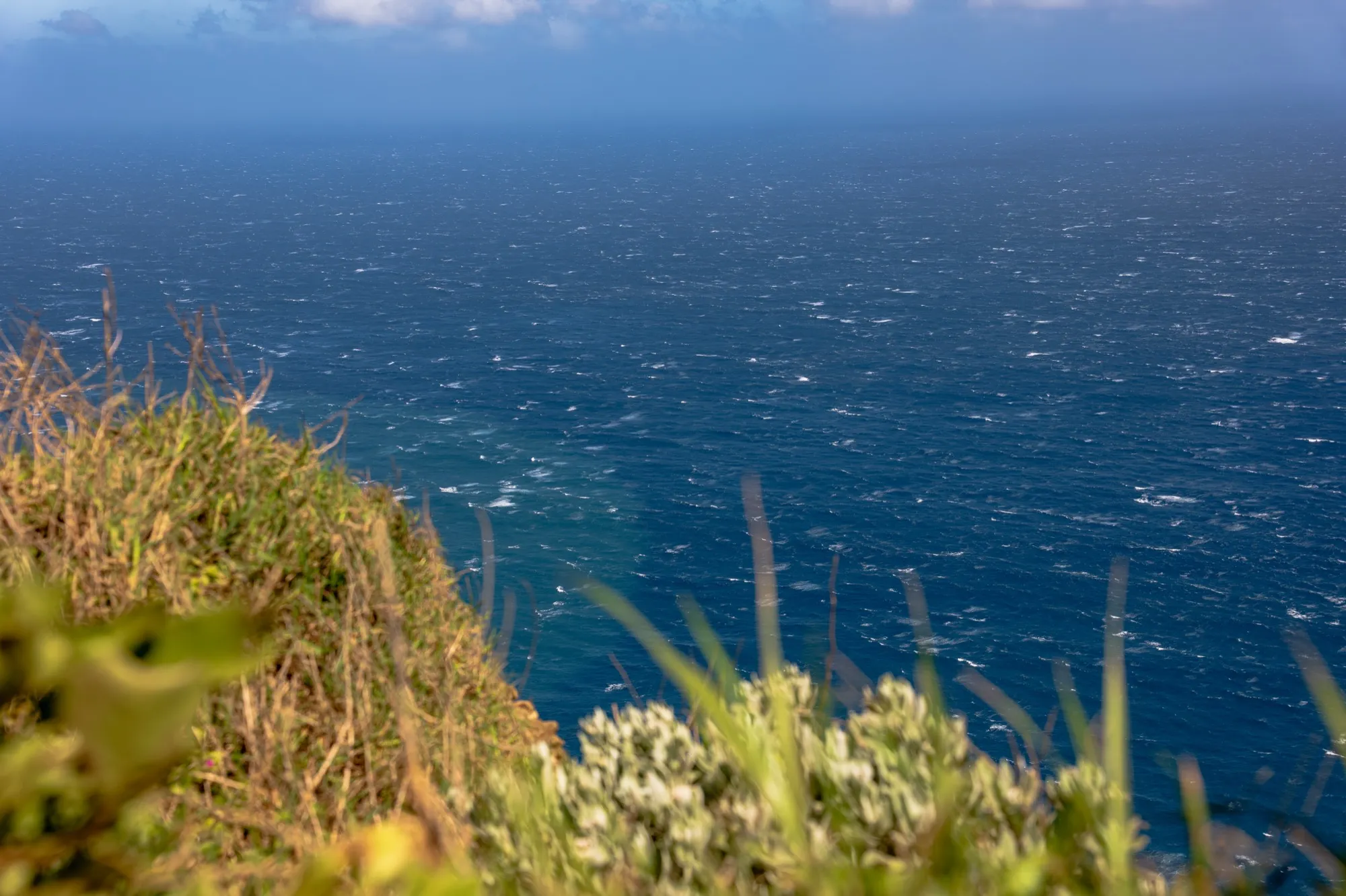 Aerial photograph — Madeira — Earthly