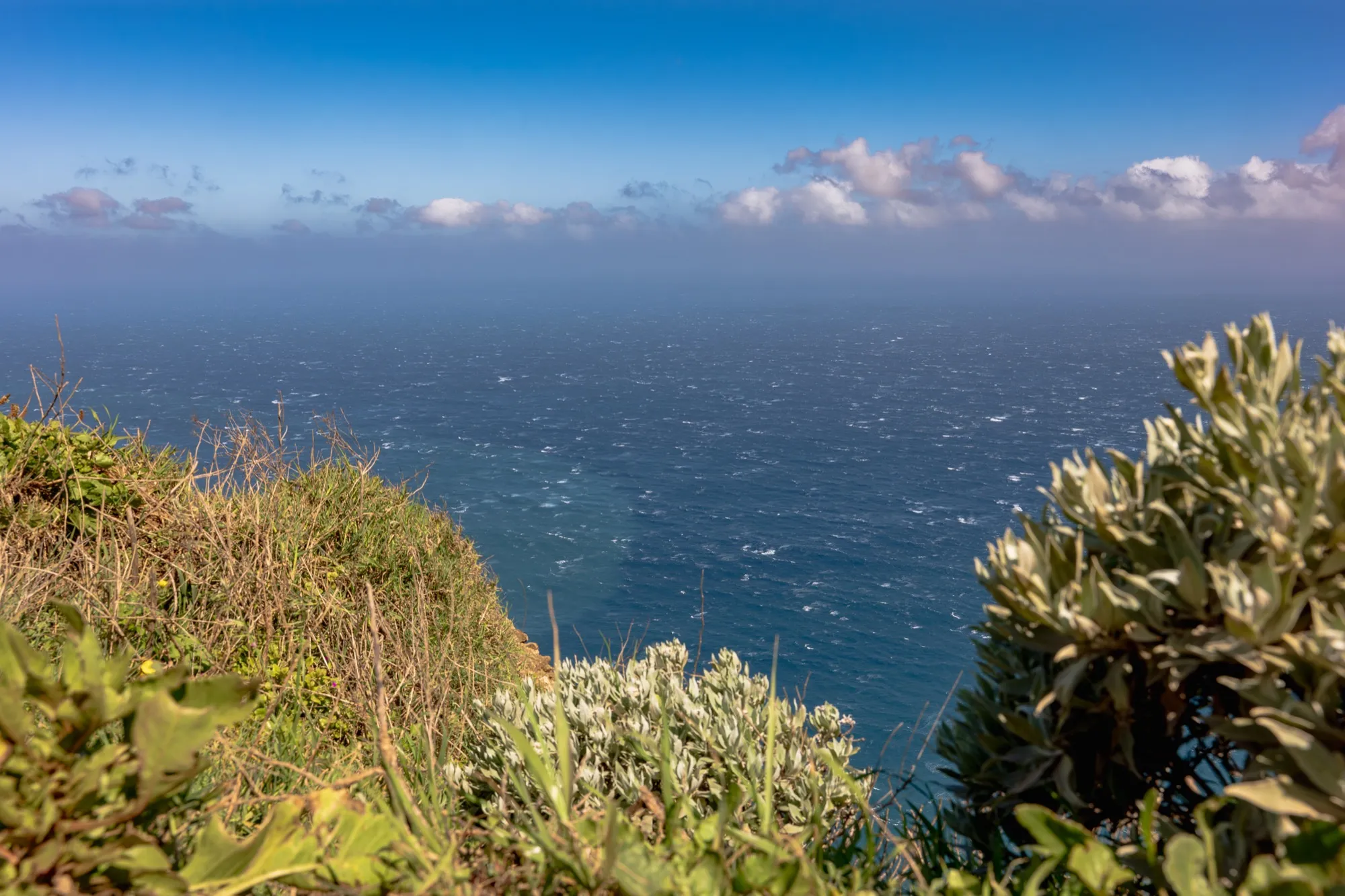 Aerial photograph — Madeira — Earthly