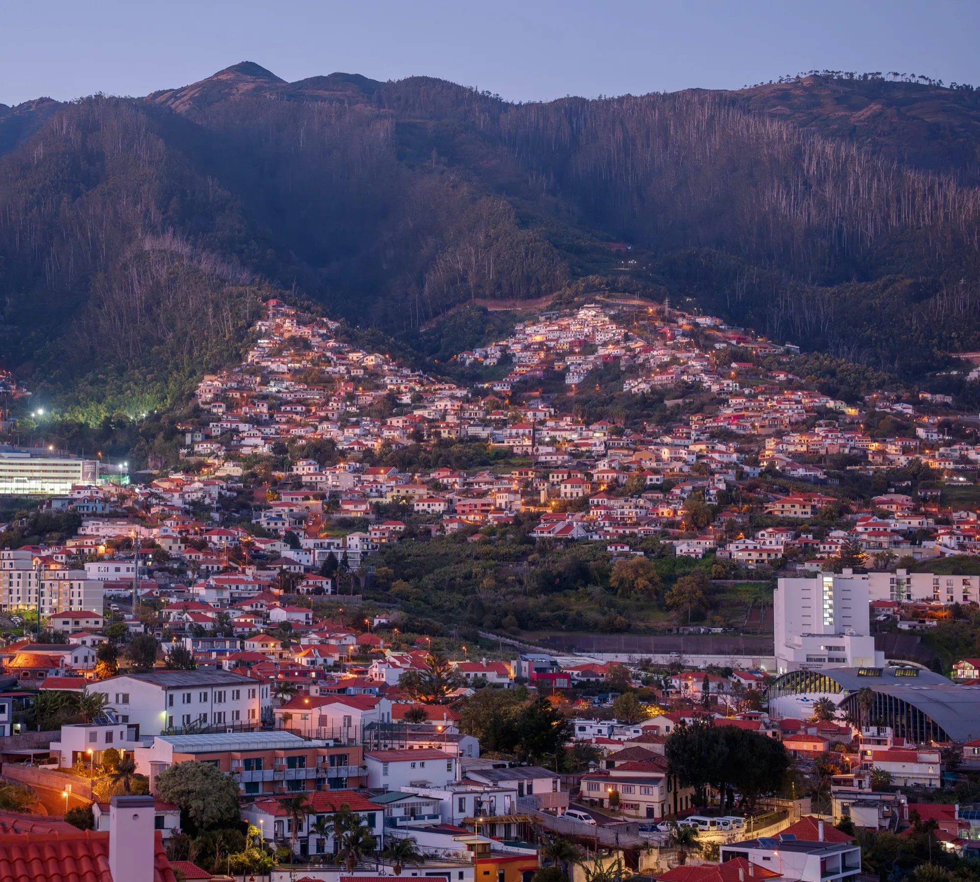 Aerial photograph — Madeira — Earthly