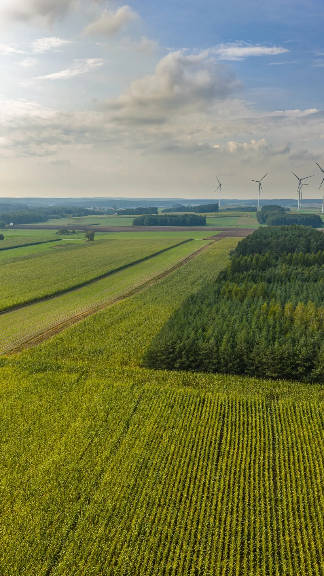 Landscape photograph — Earthly