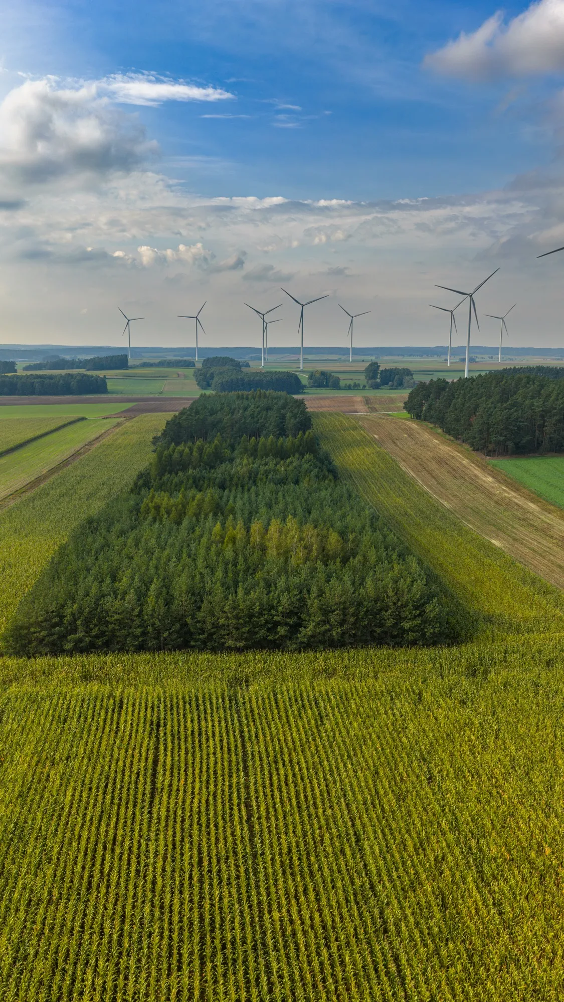 Landscape photograph — Earthly