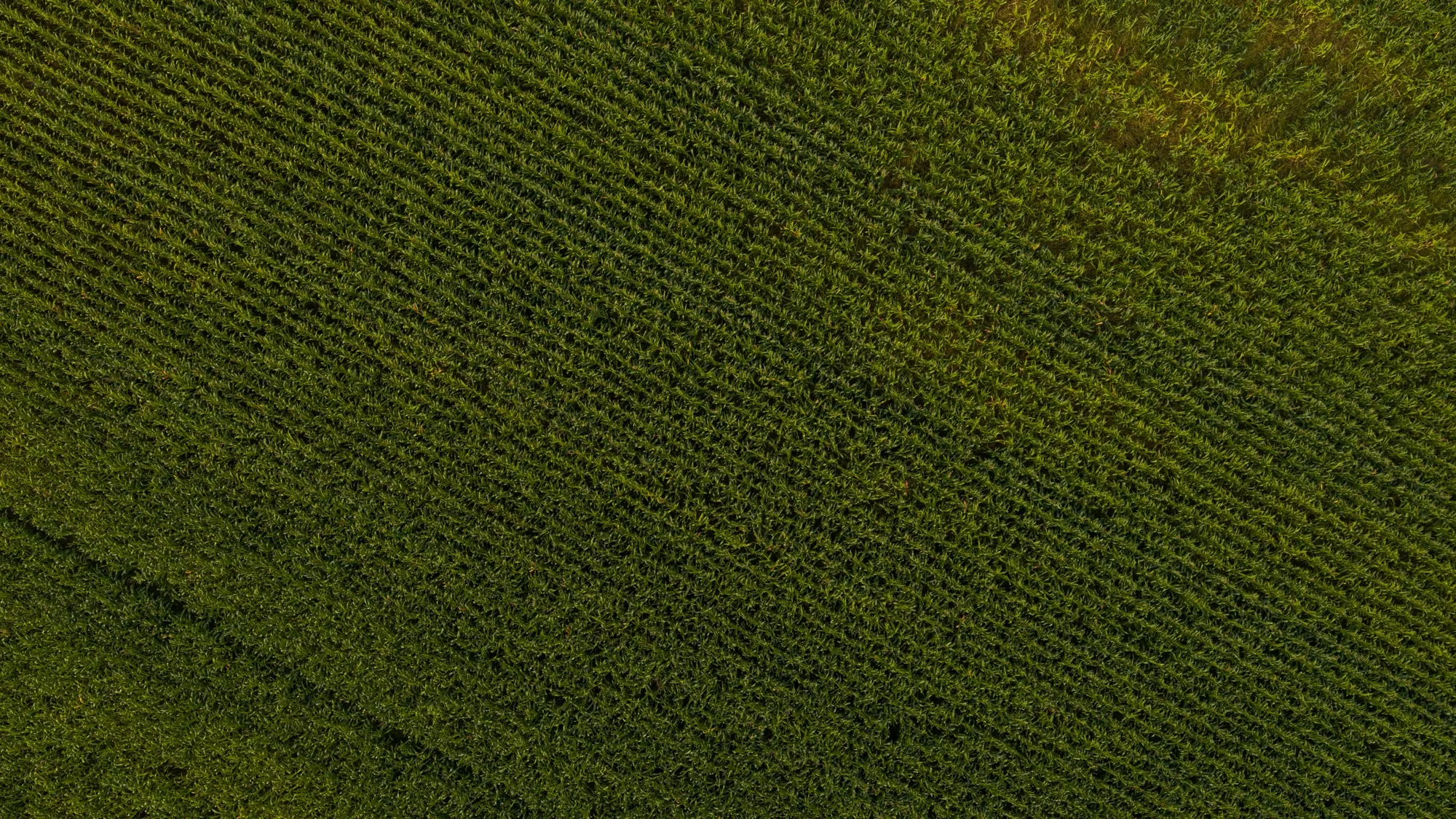 Landscape photograph — Earthly