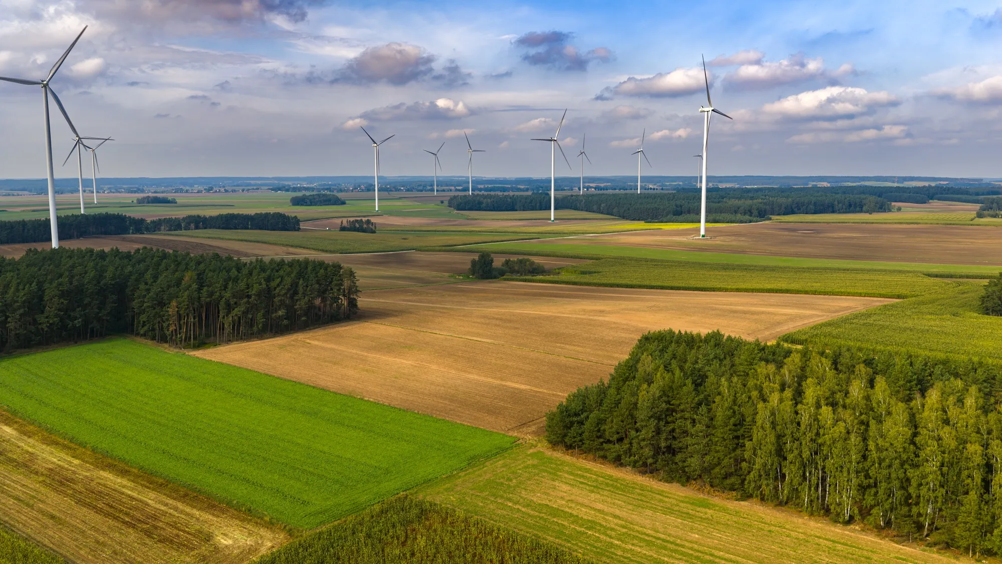 Landscape photograph — Earthly