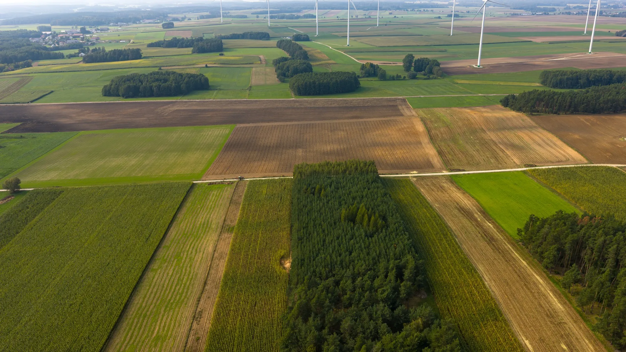 Landscape photograph — Earthly