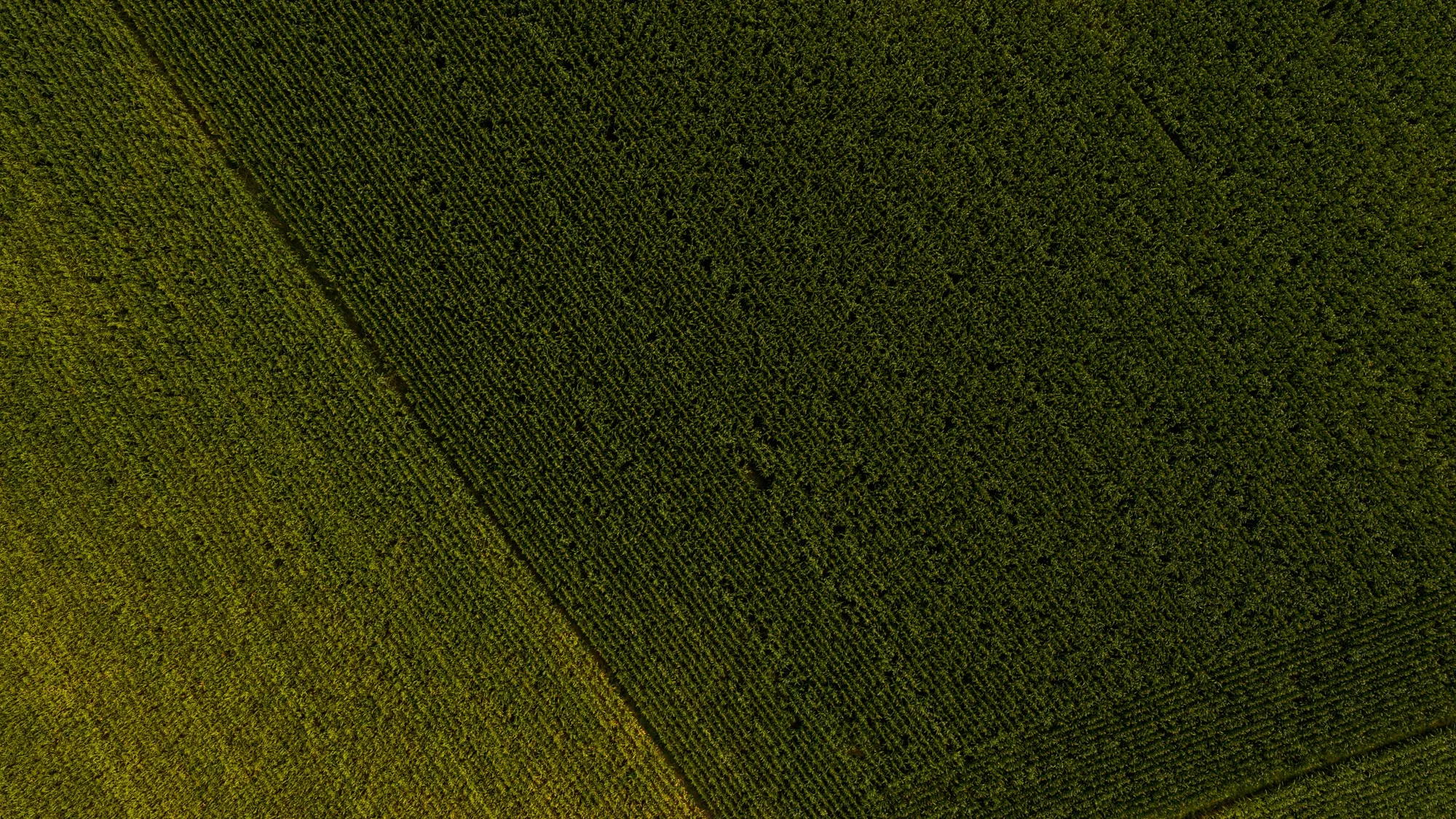 Landscape photograph — Earthly