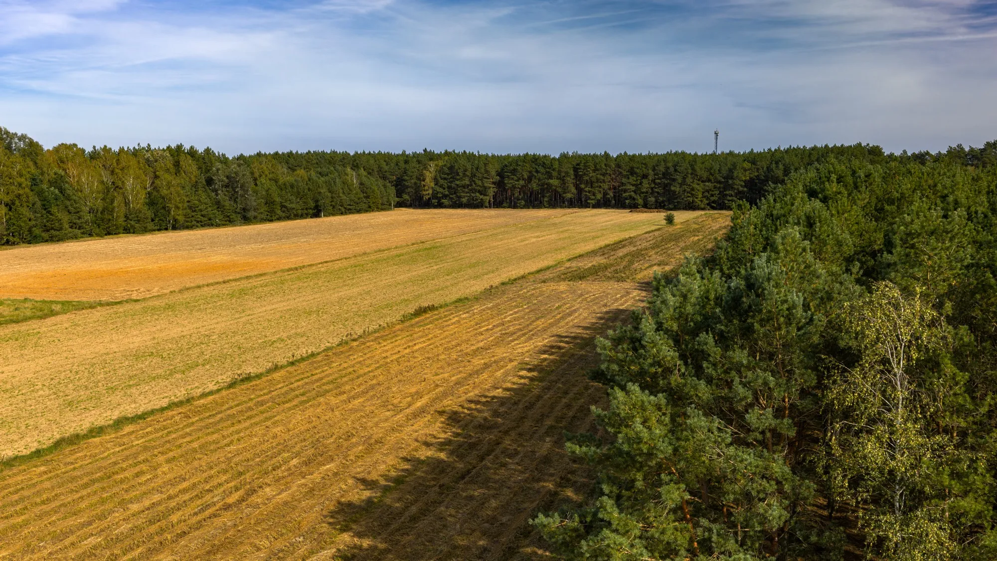Landscape photograph — Earthly