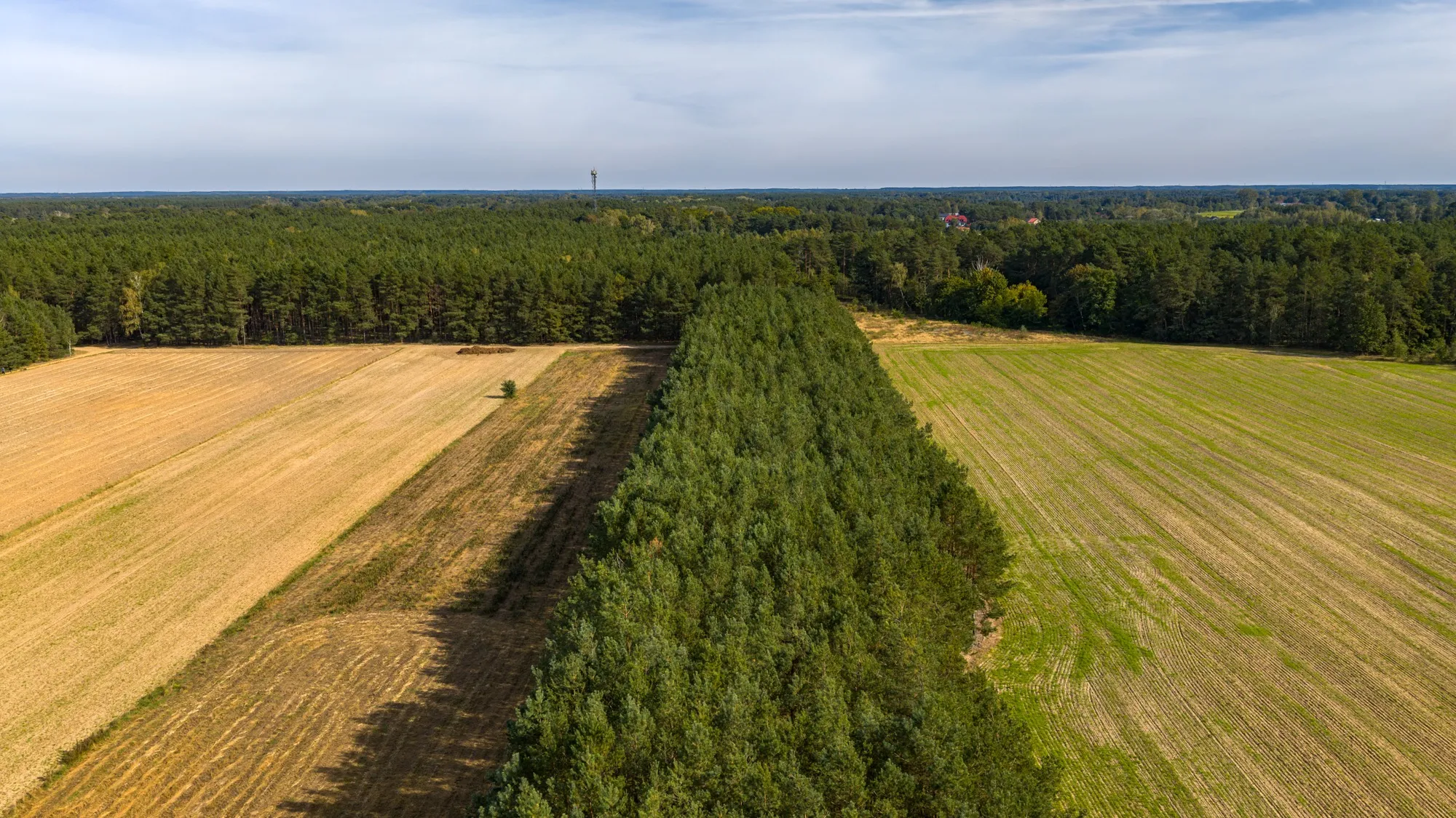 Landscape photograph — Earthly