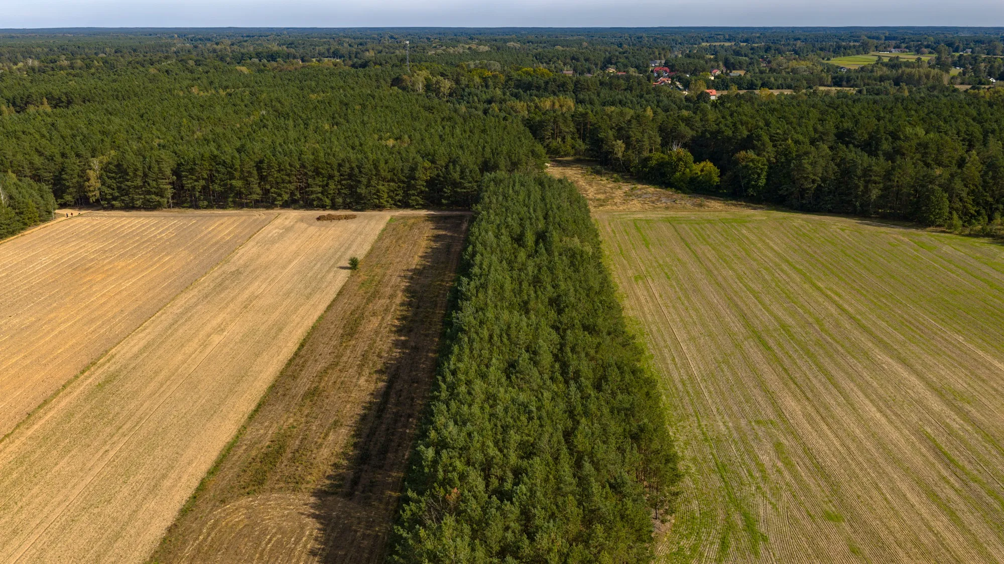 Landscape photograph — Earthly
