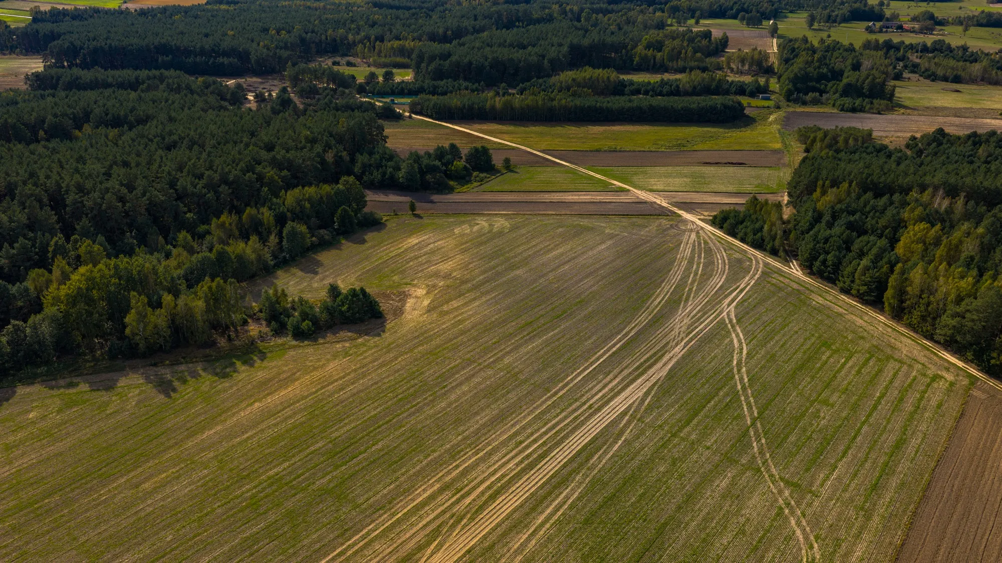 Landscape photograph — Earthly