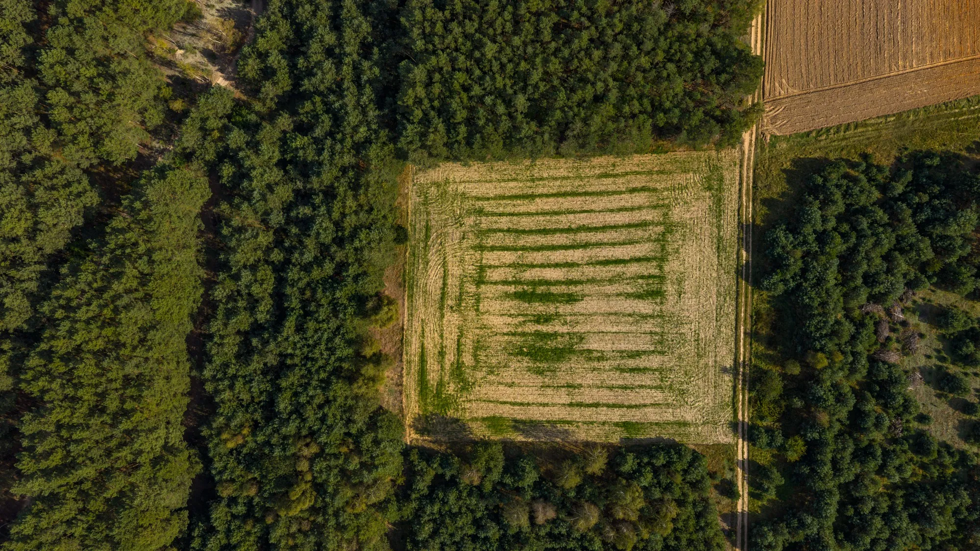 Landscape photograph — Earthly