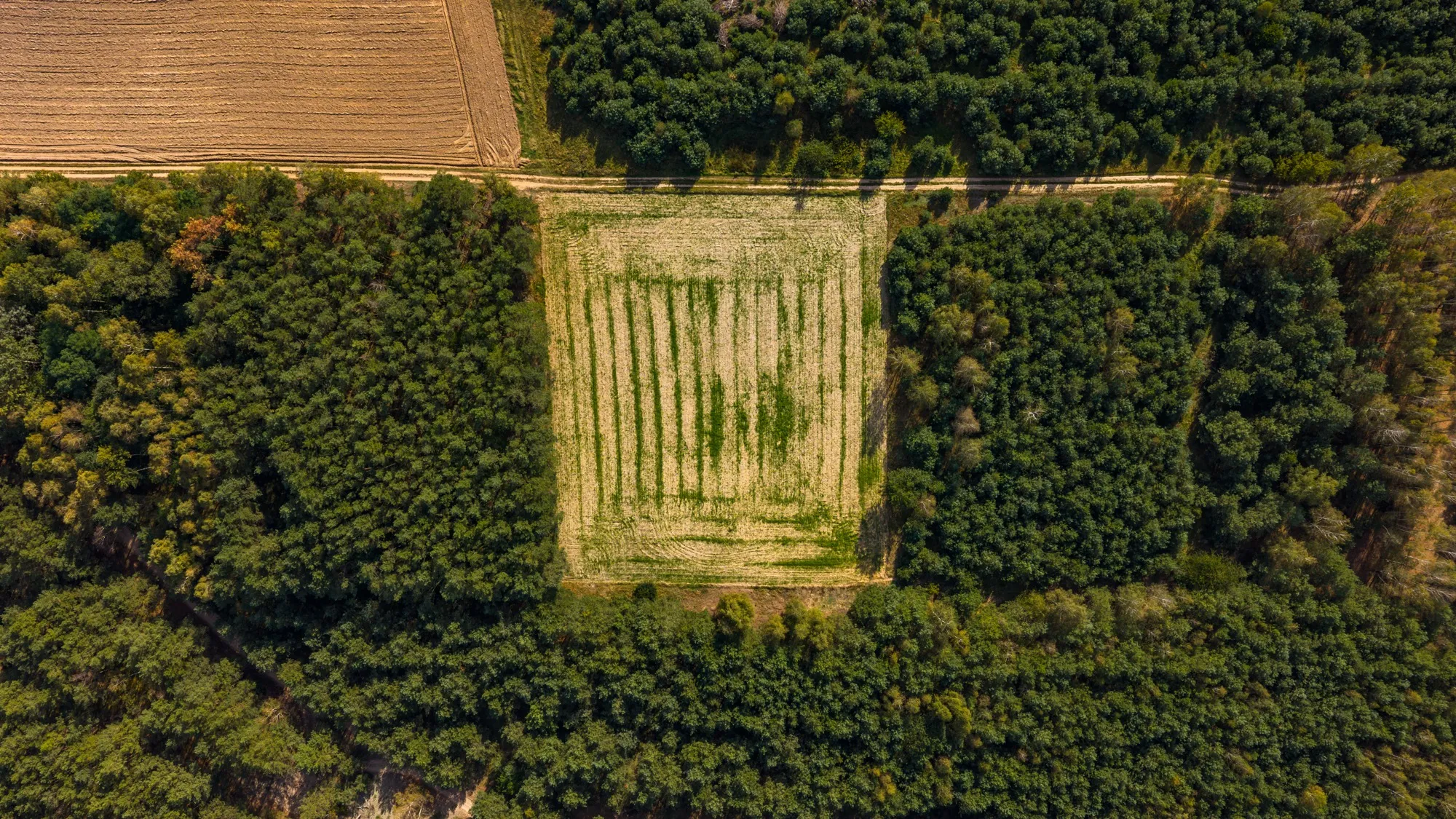 Landscape photograph — Earthly
