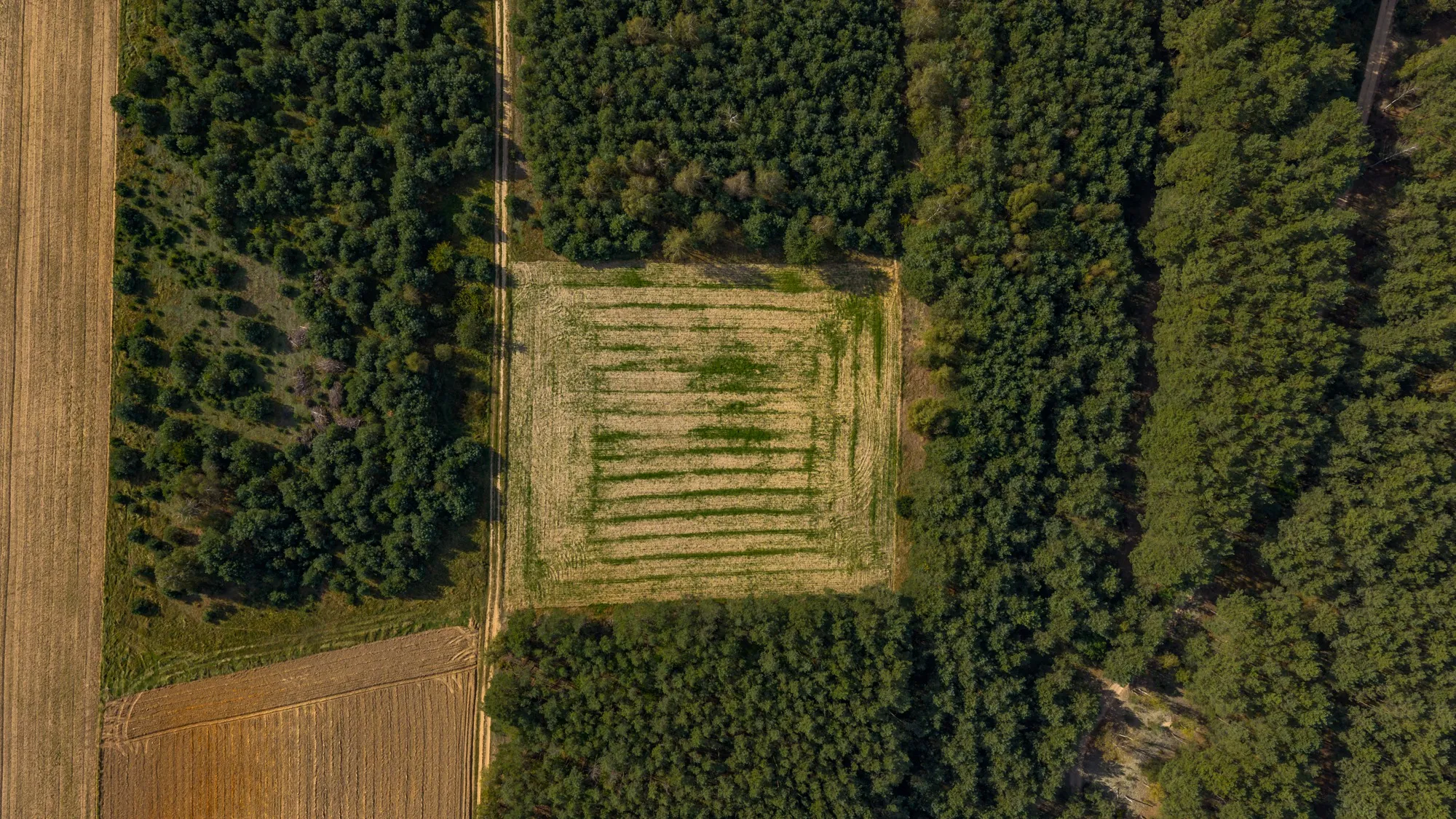 Landscape photograph — Earthly