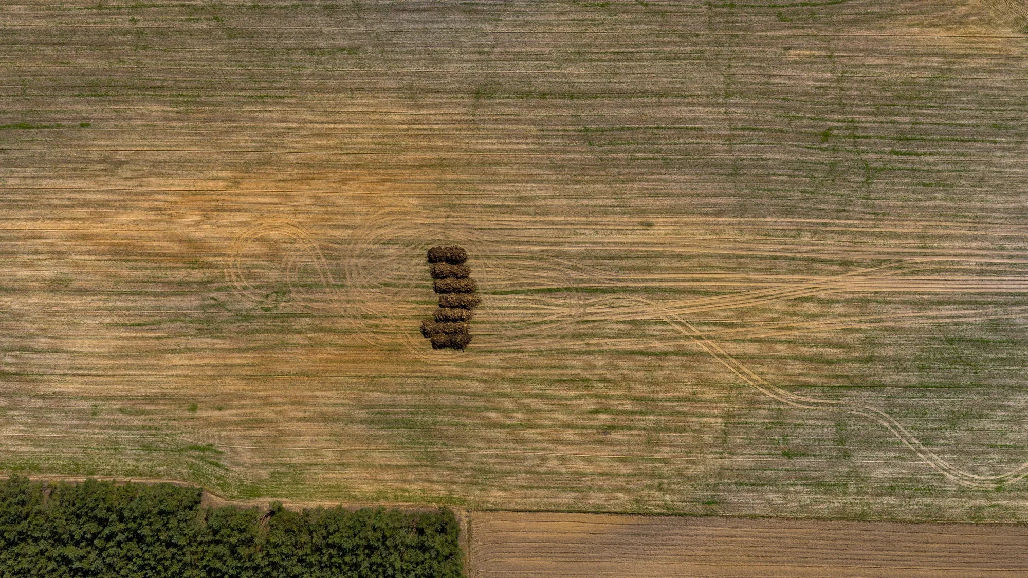 Landscape photograph — Earthly