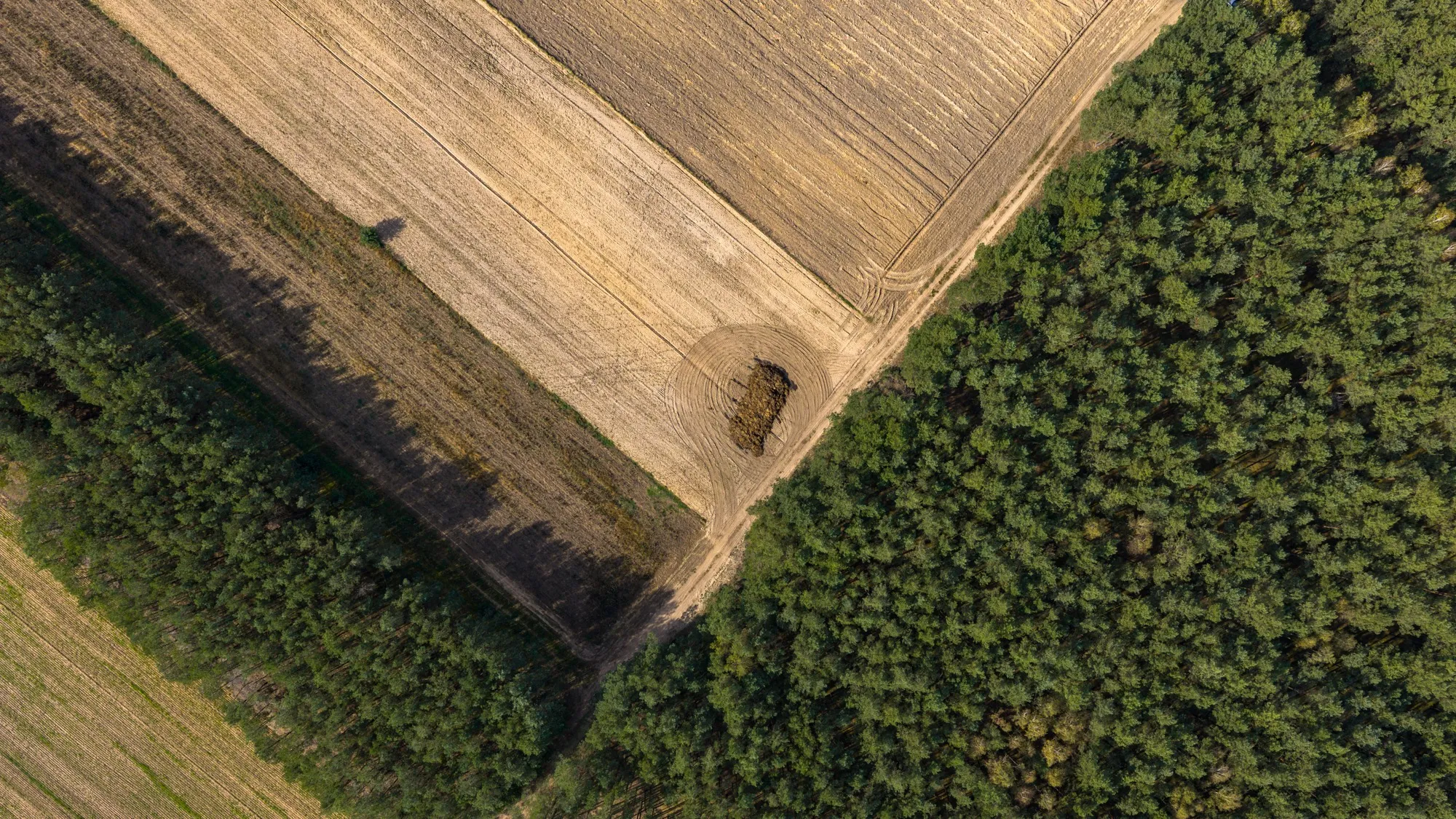 Landscape photograph — Earthly