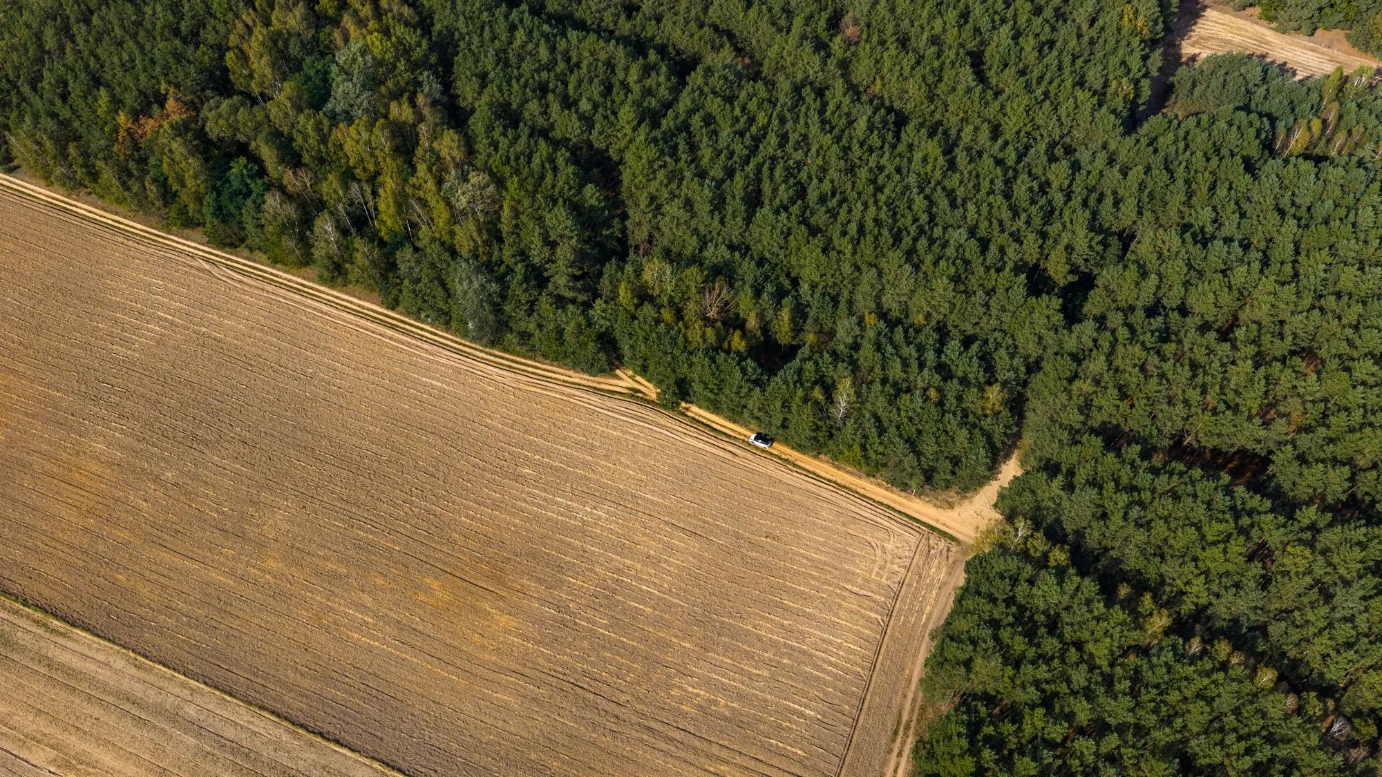 Landscape photograph — Earthly