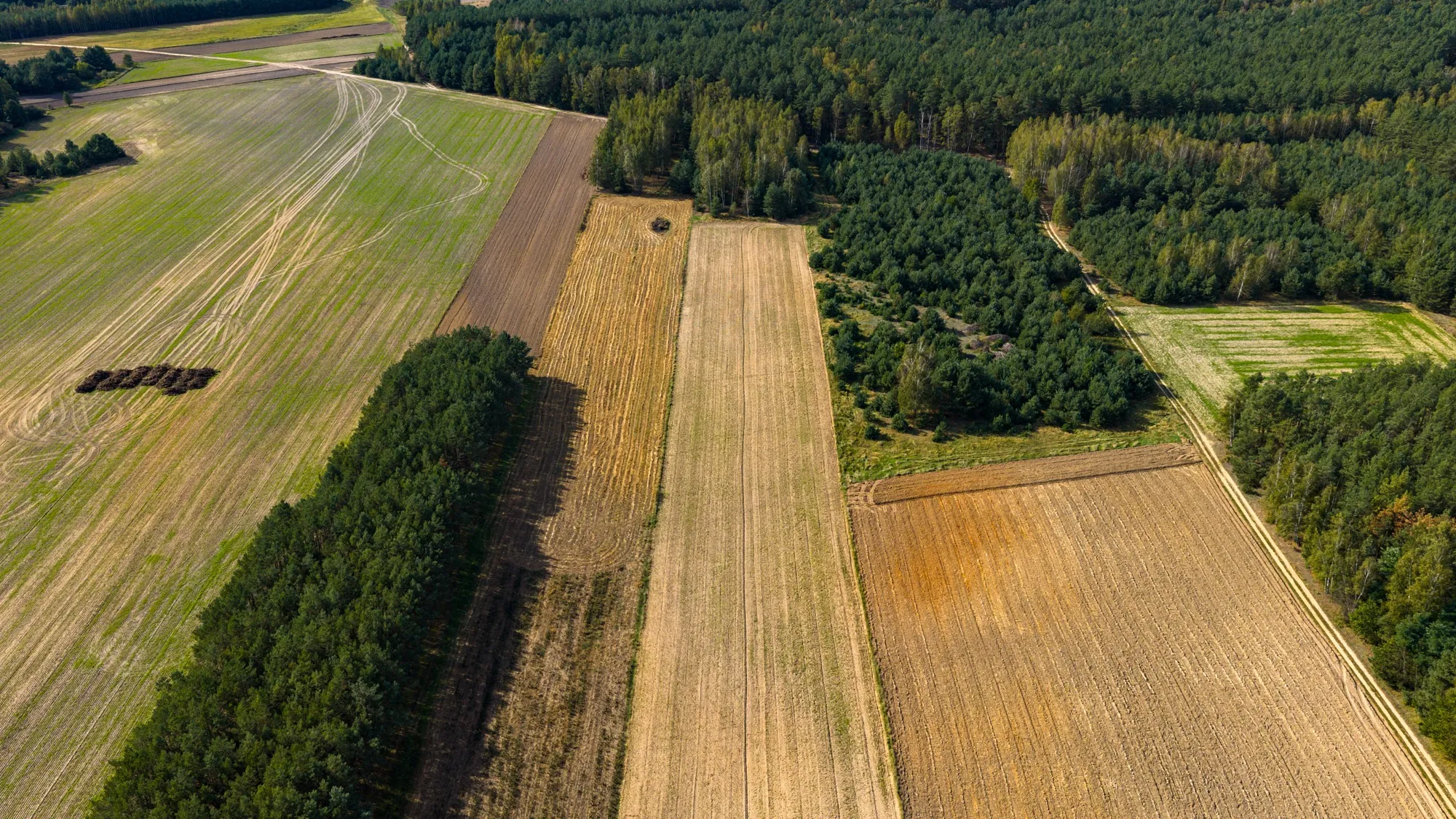 Landscape photograph — Earthly