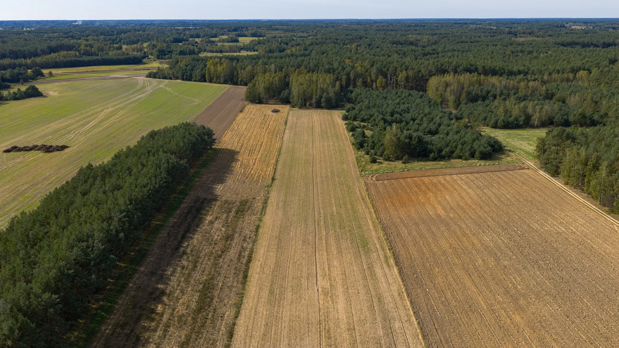 Landscape photograph — Earthly