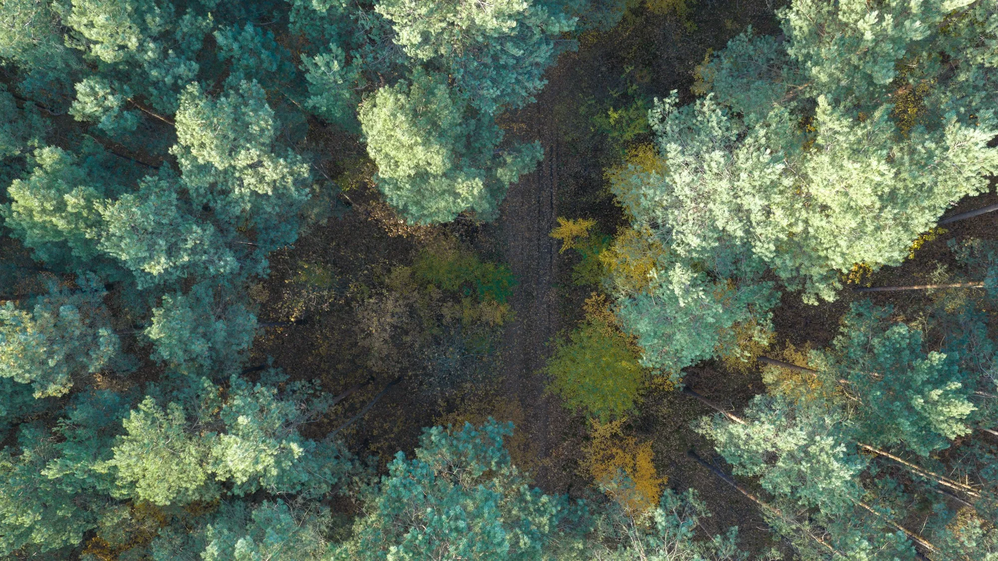 Landscape photograph — Earthly