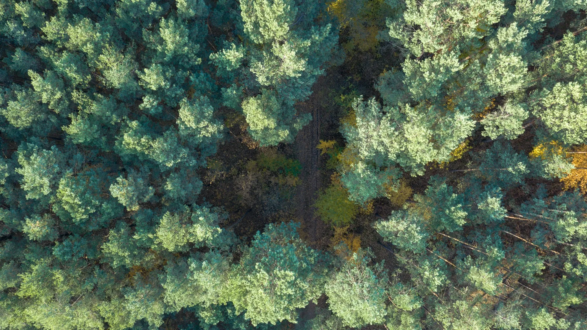 Landscape photograph — Earthly