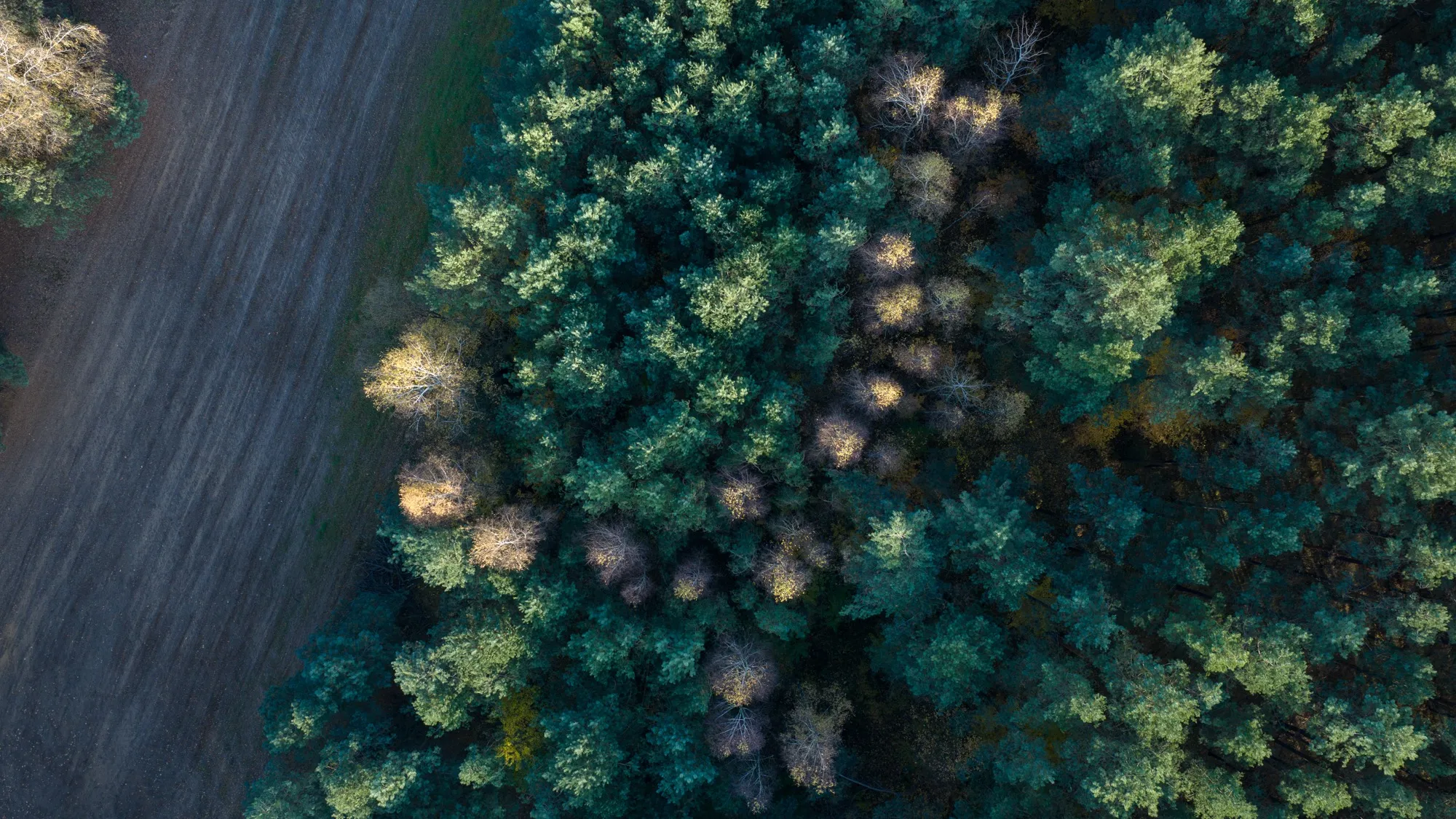 Landscape photograph — Earthly