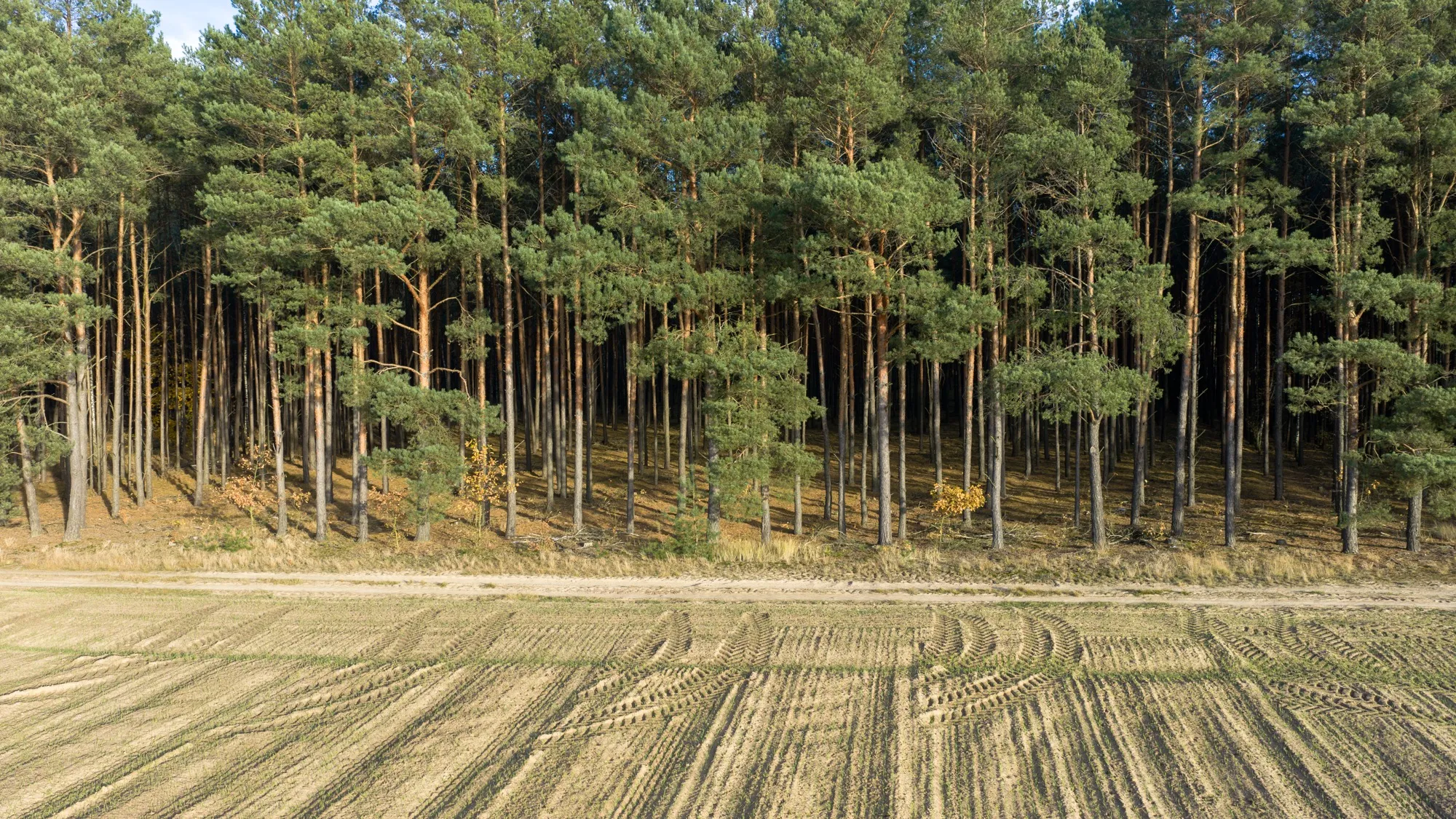 Landscape photograph — Earthly