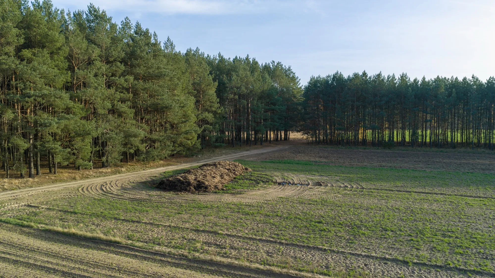 Landscape photograph — Earthly