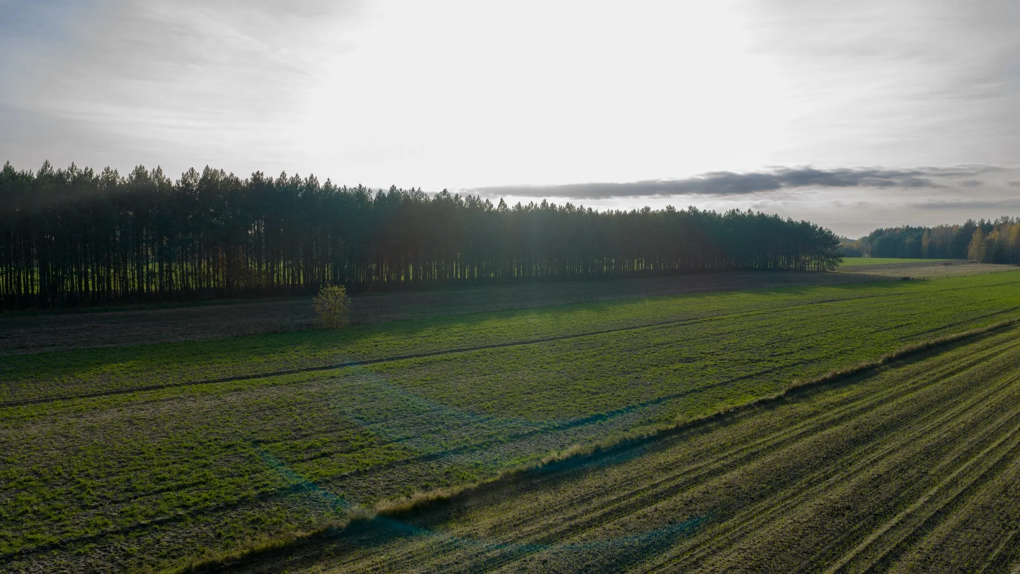 Landscape photograph — Earthly