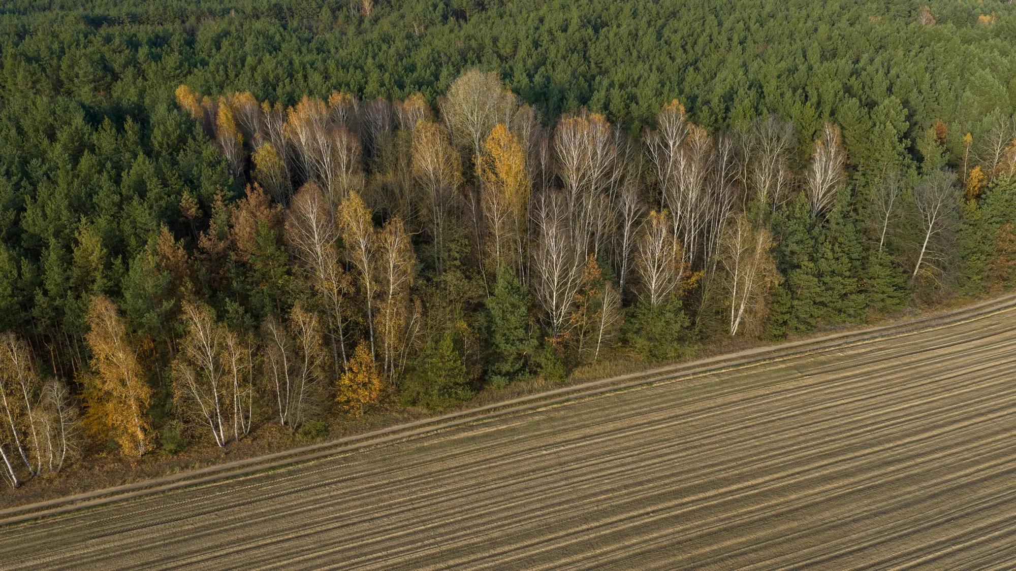 Landscape photograph — Earthly