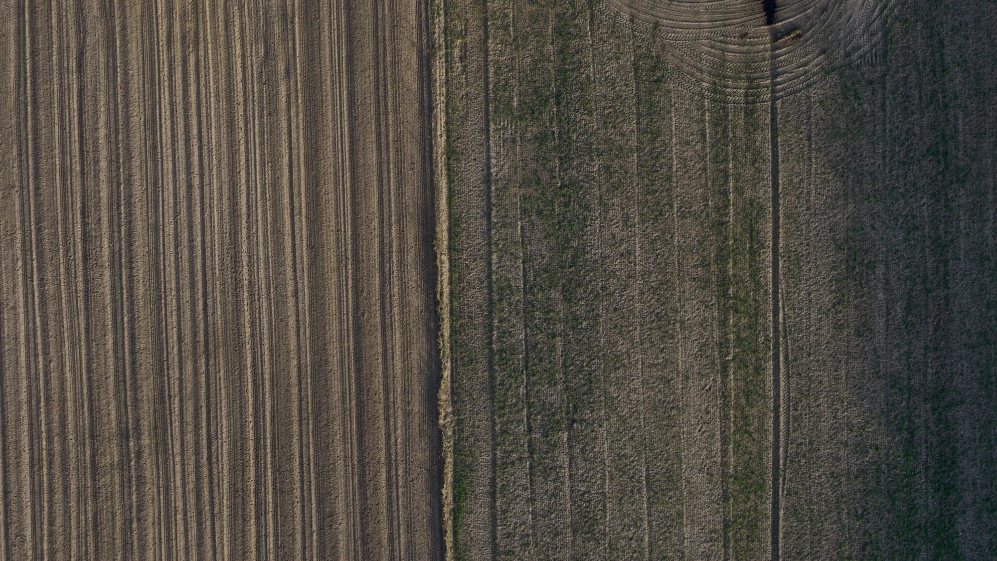 Landscape photograph — Earthly