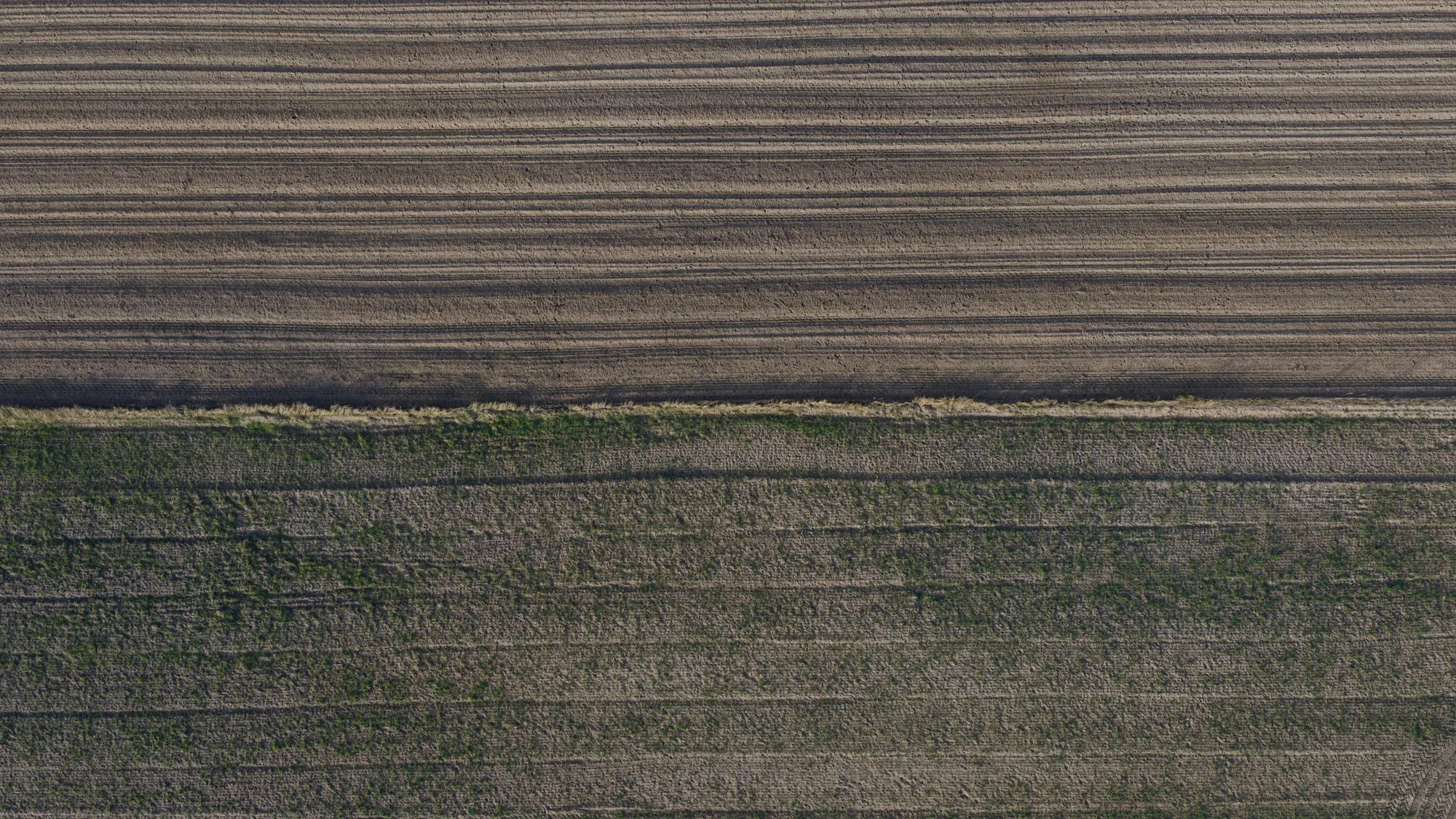 Landscape photograph — Earthly