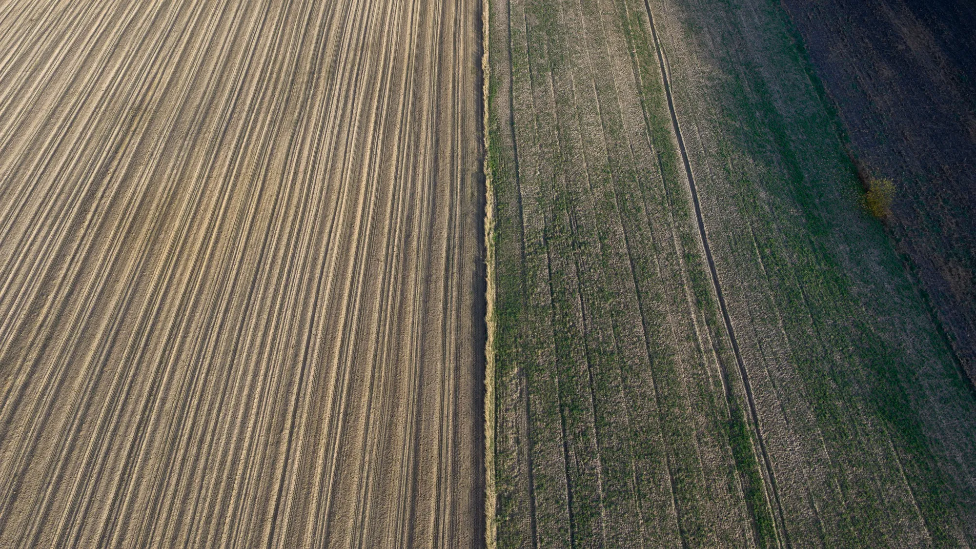 Landscape photograph — Earthly