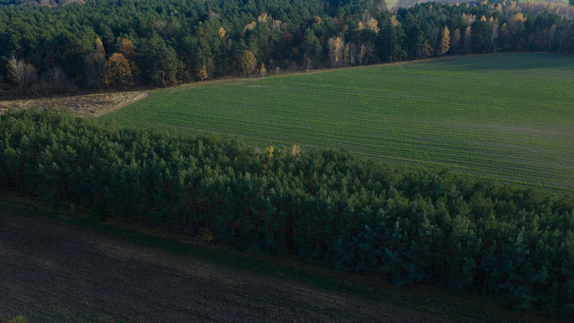 Landscape photograph — Earthly
