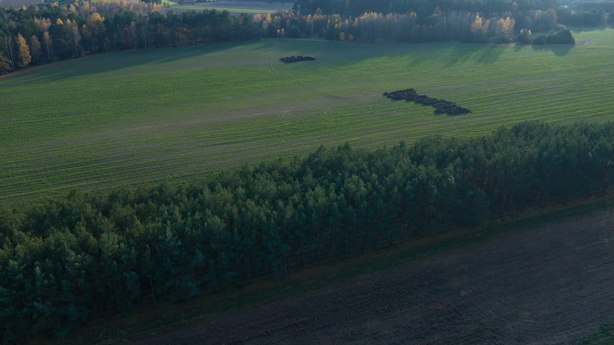 Landscape photograph — Earthly