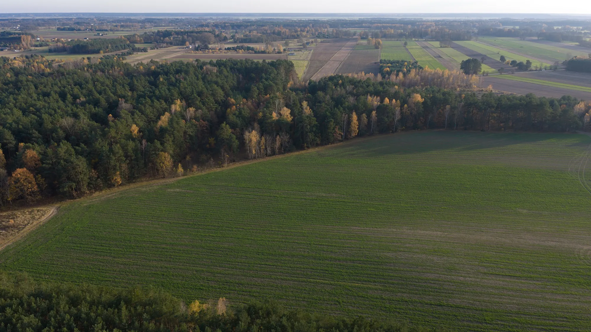 Landscape photograph — Earthly