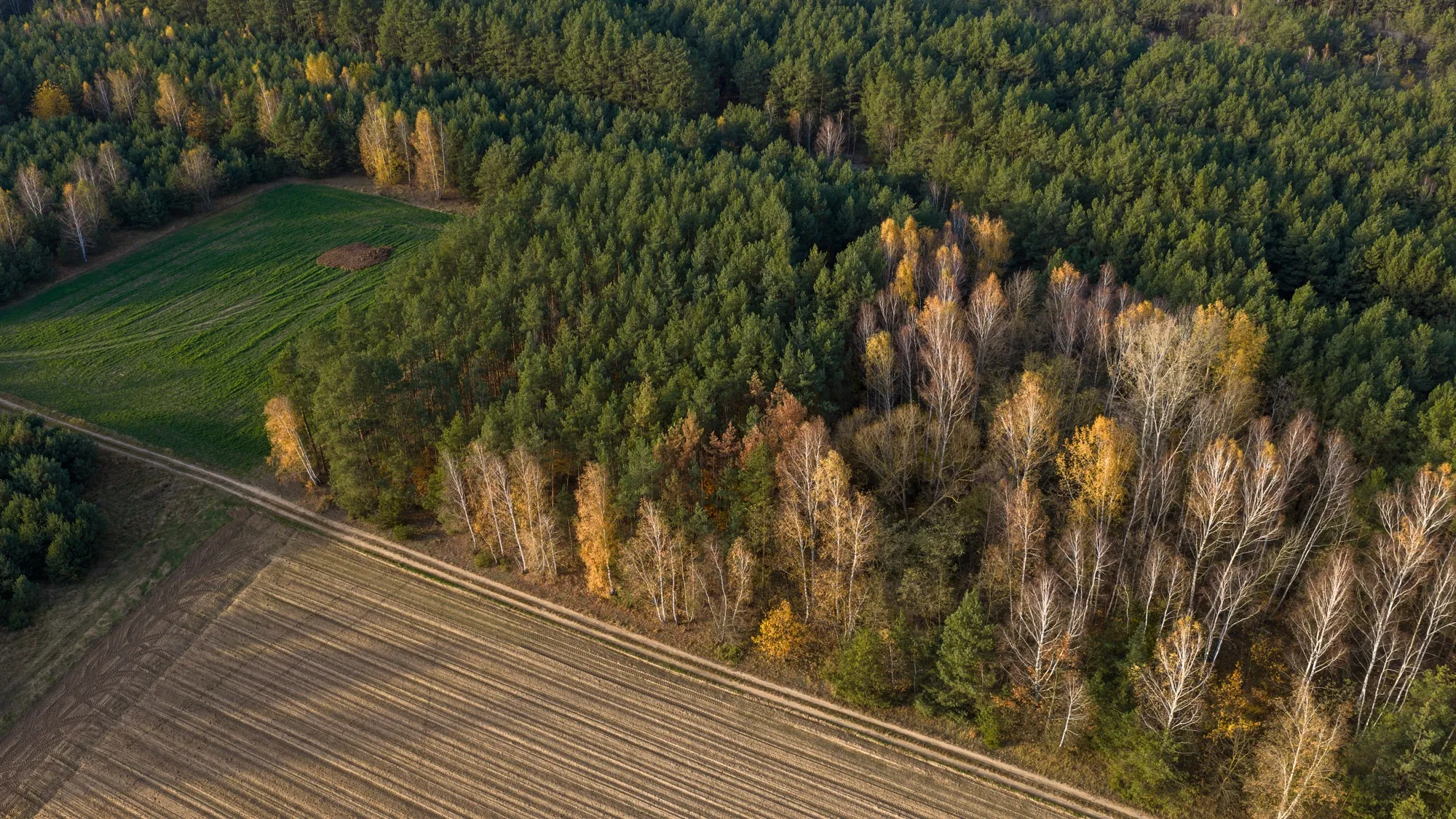 Landscape photograph — Earthly